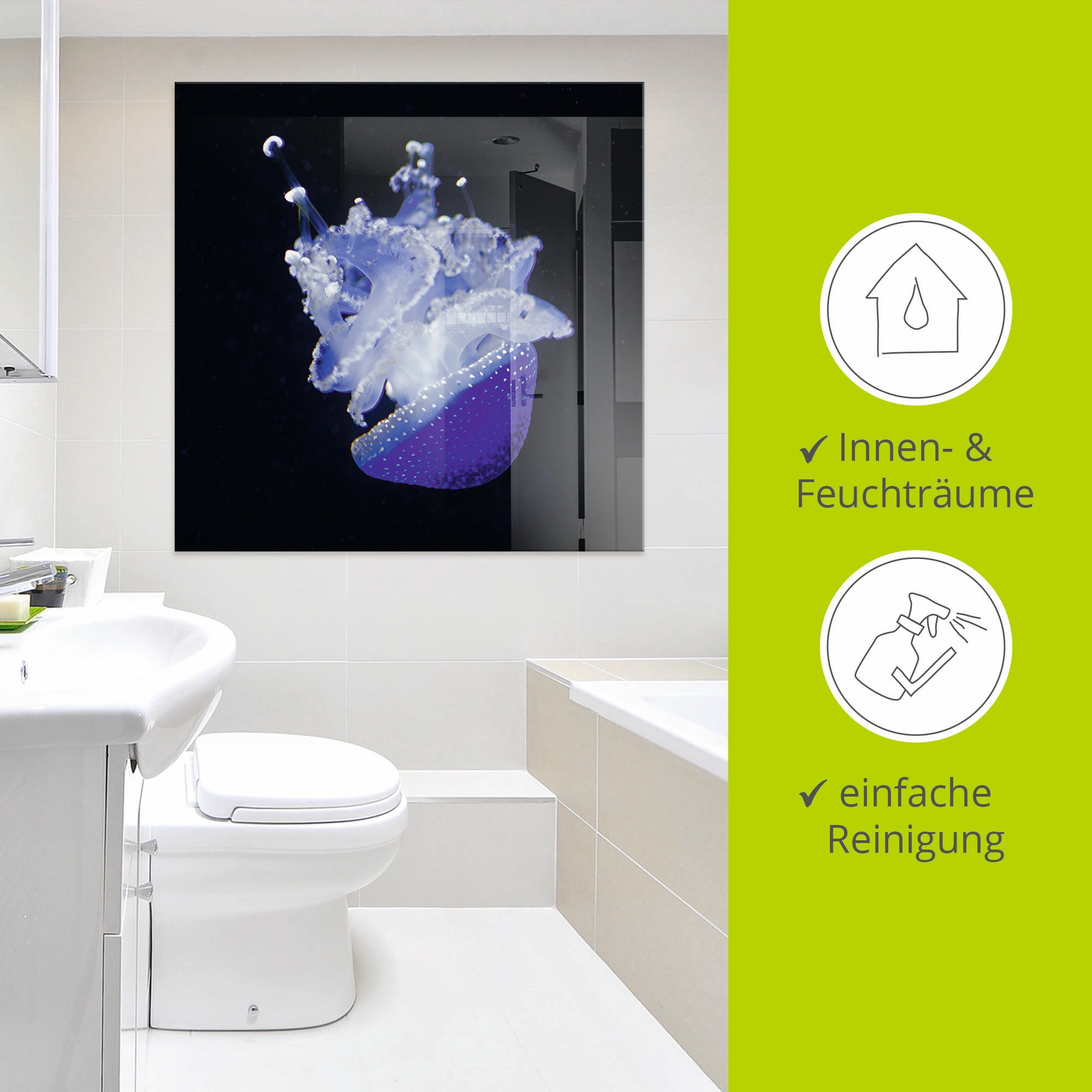 Artland Glasbild »Qualle Aquarium Zoo«, Wassertiere, (1 St.), in verschiedenen Größen