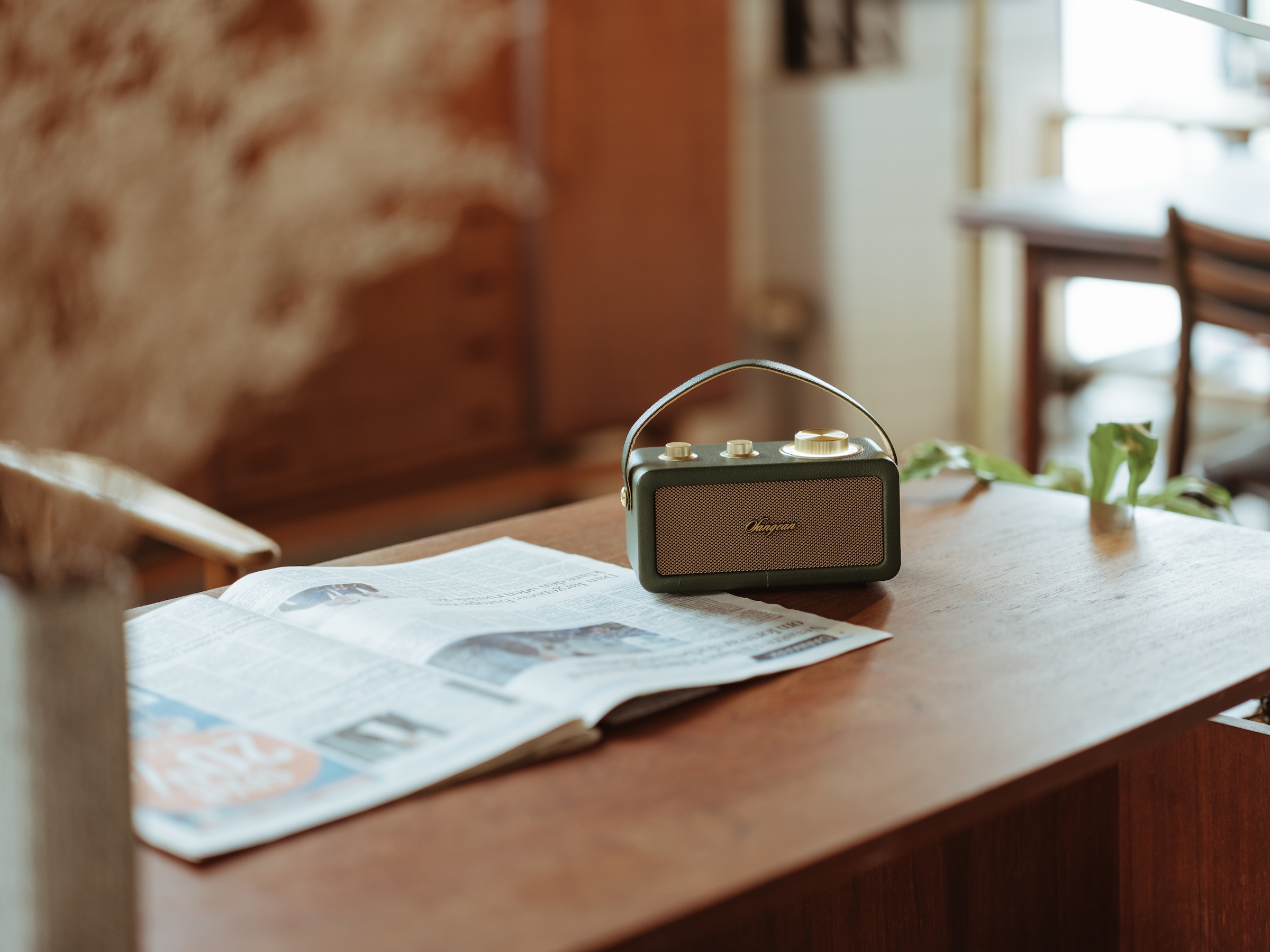 Sangean Radio »RA-101«, (Bluetooth FM-Tuner)
