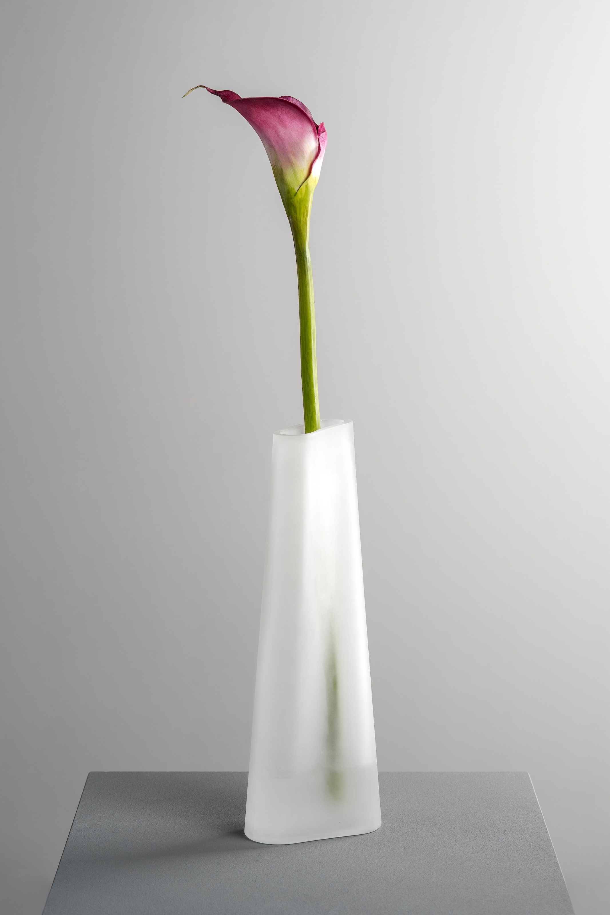 LEONARDO Dekovase »GK/Vase TURNO«