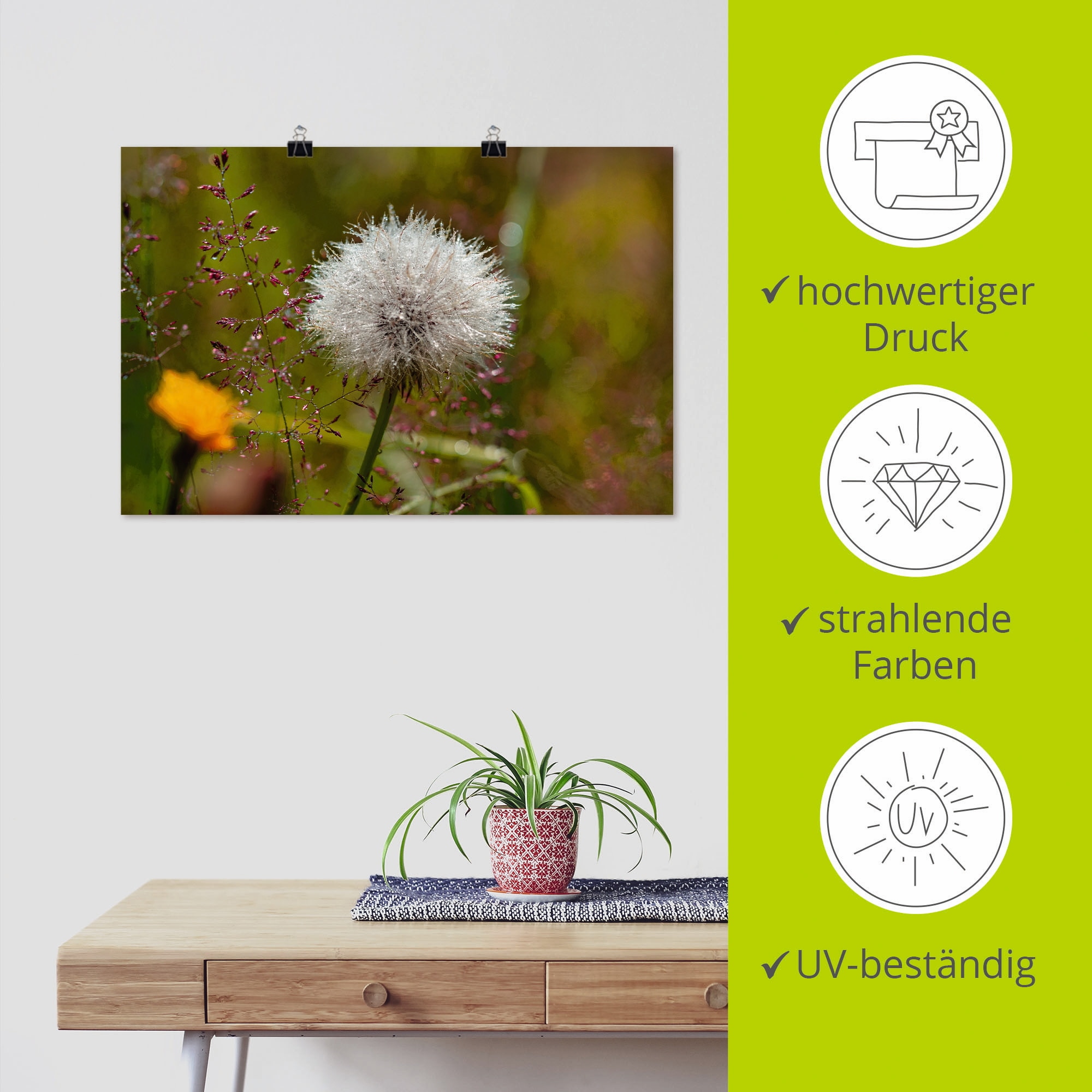 Artland Wandbild »Pusteblume im Blumenfeld«, Blumen, (1 St.), als Leinwandbild, Poster in verschied. Größen