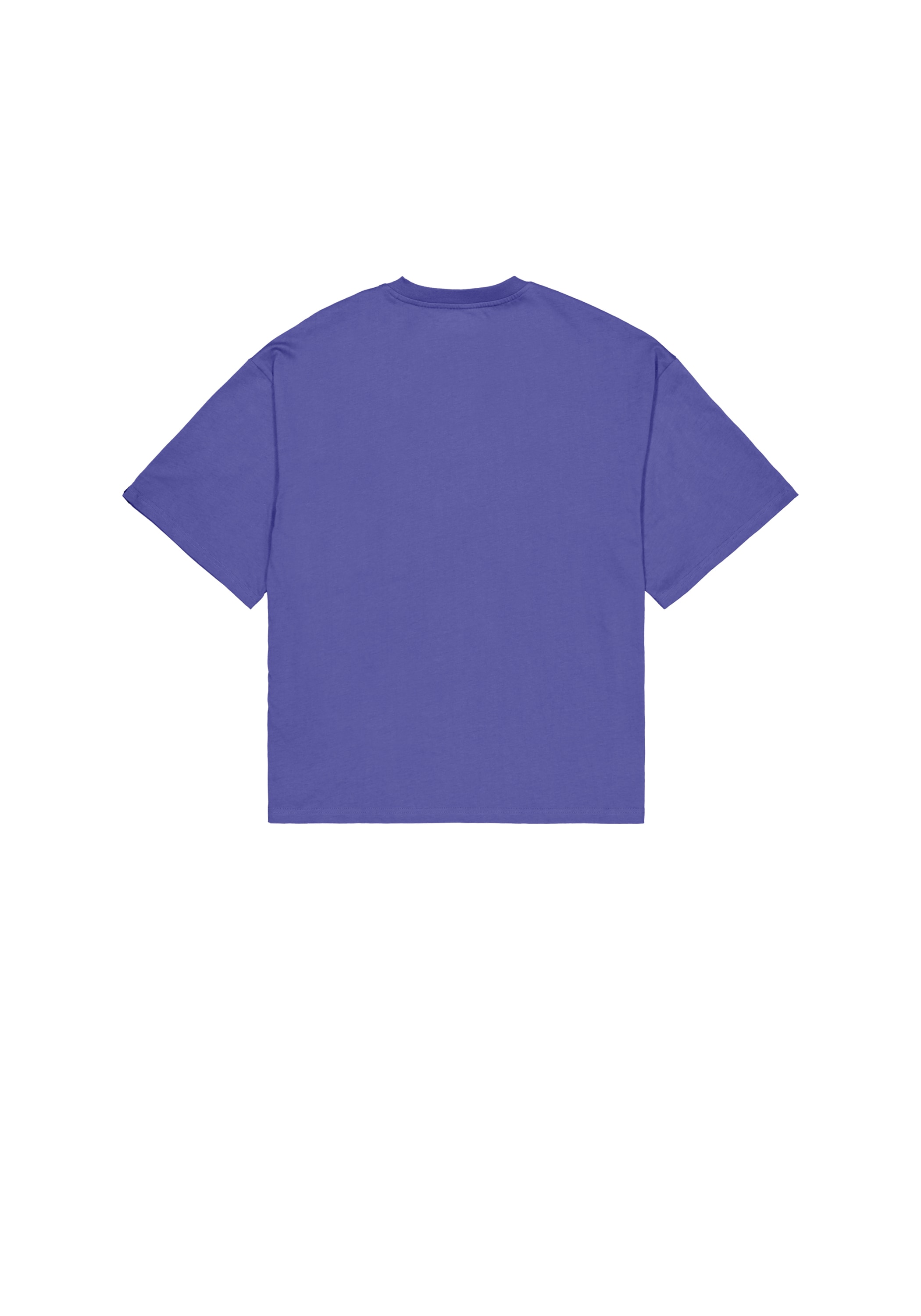 Alpha Industries T-Shirt »Alpha Industries Men - T-Shirts Studio Edition T-Shirt«