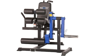 Kraftstation »Multi Trainer Pro«