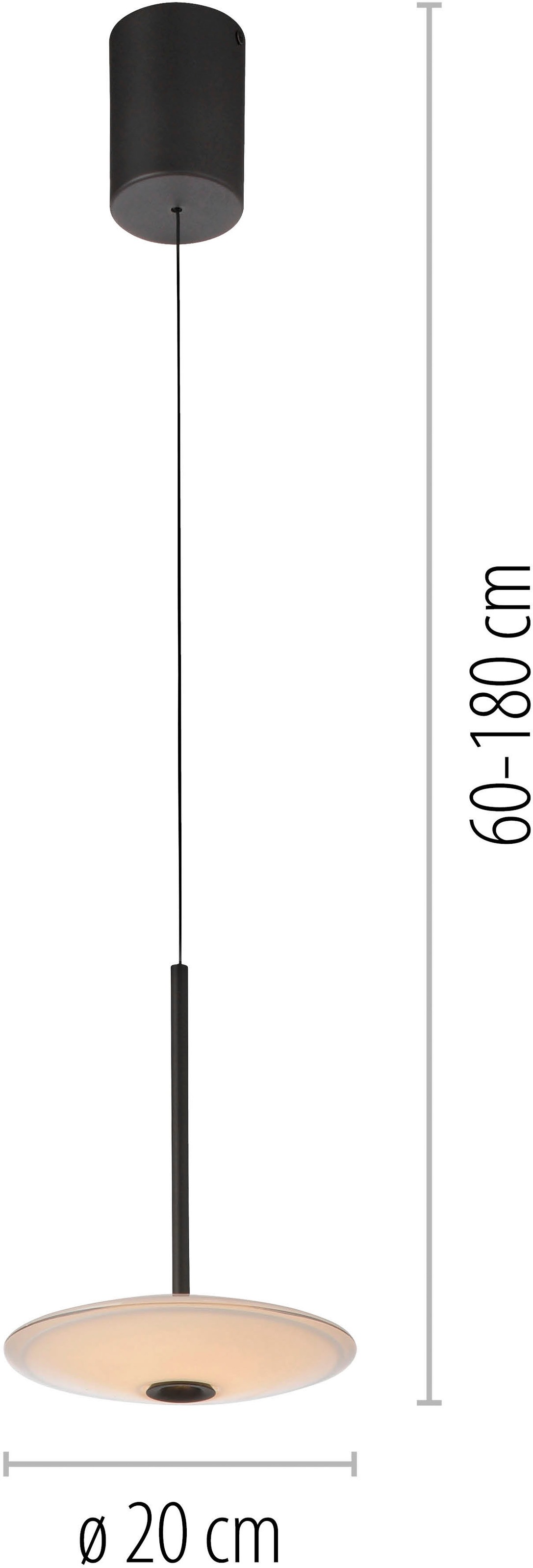 Paul Neuhaus LED Pendelleuchte »ELIPSA« LED-Board 1 Stk. Warmweiß Dimmfähig über separaten Tronicdimmer, Comfort-Lift