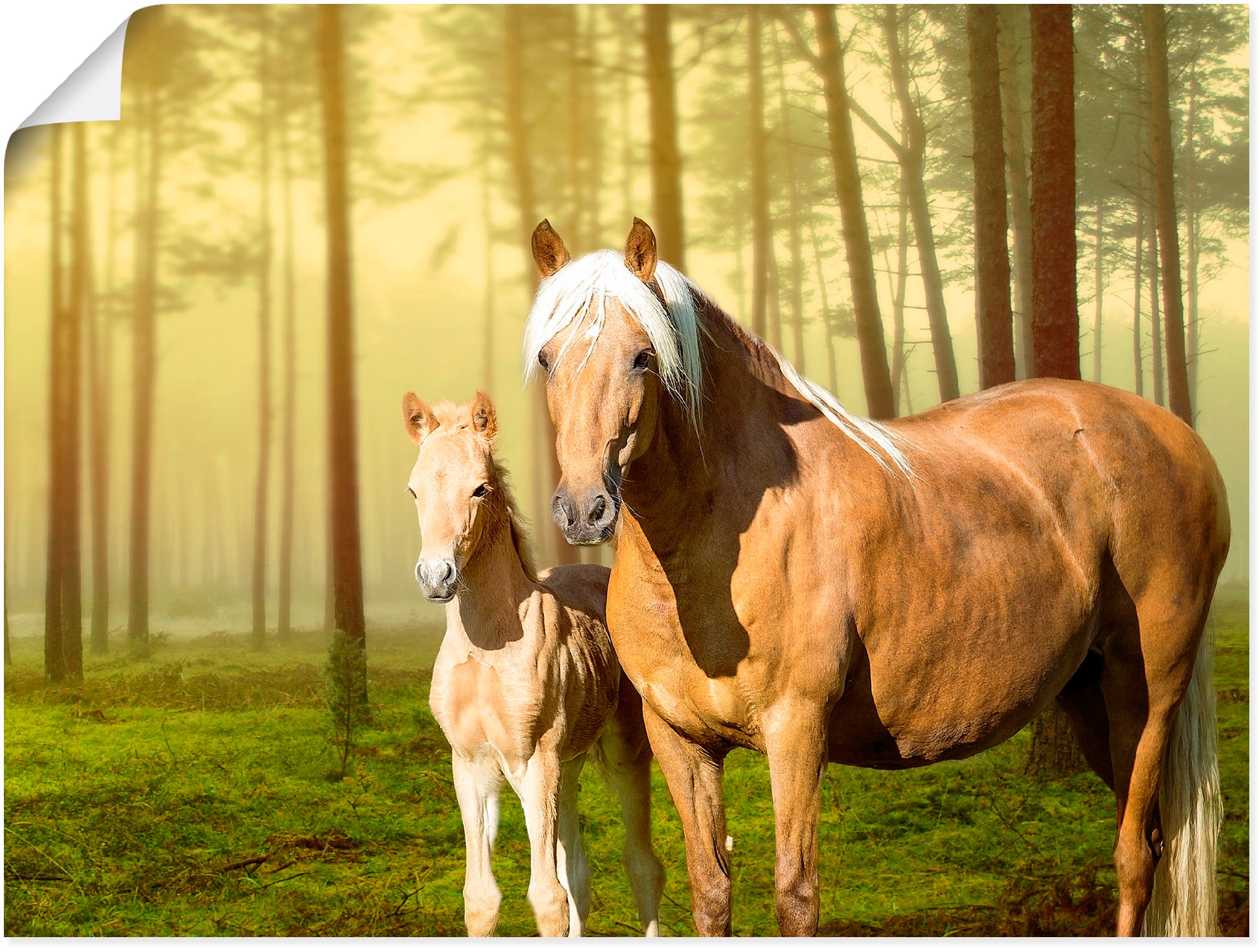Artland Wandbild »Pferde Leinwandbild, im Alubild, Haustiere, als Feldern Online den Poster oder in Größen Wandaufkleber OTTO in versch. (1 bestellen II«, Shop St.)