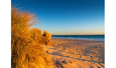 Fototapete »Dunes Chelsea Beach Australia«