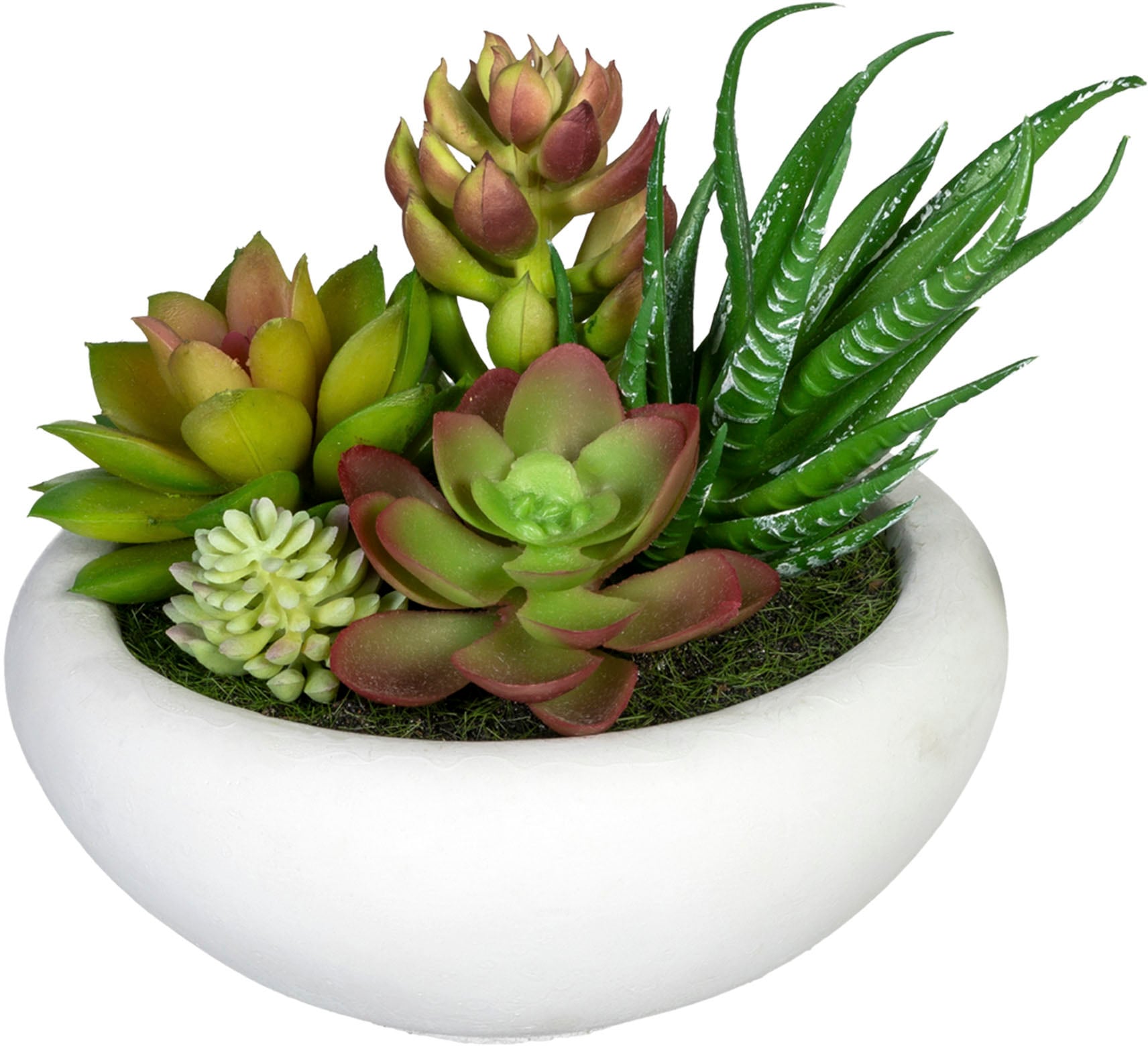 Creativ green Künstliche Zimmerpflanze »Sukkulentenarrangement«, (2 St.),  im Zementtopf, 2er Set online bei OTTO