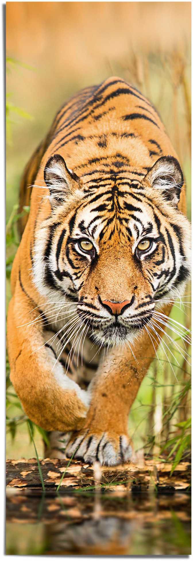 Reinders! Poster »Tiger im Anflug«