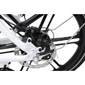LLobe E-Bike »EasyStar Gala, 10Ah«, 7 Gang, Shimano, Heckmotor 250 W