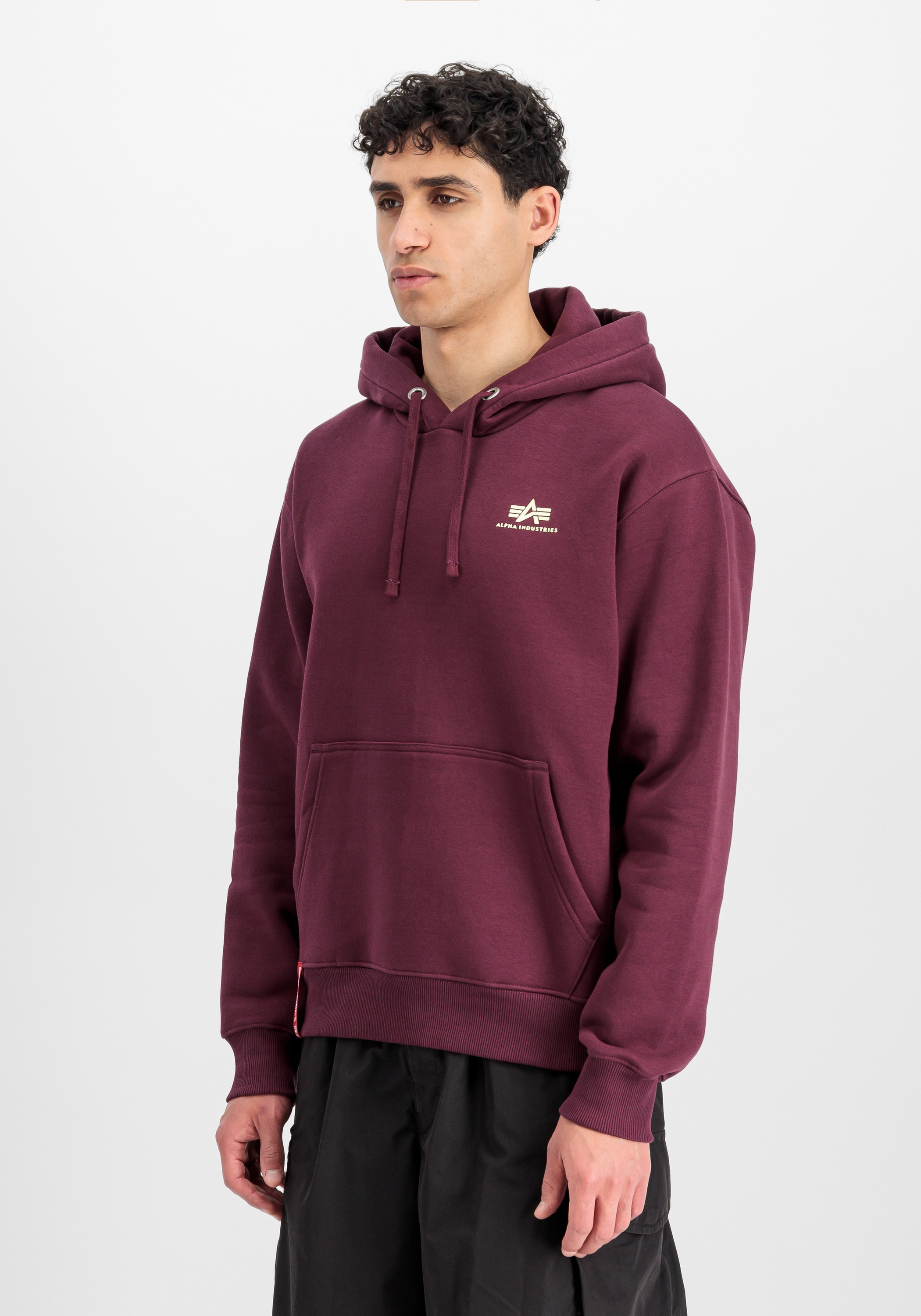Alpha Industries Hoodie »Basic Hoodie SL«