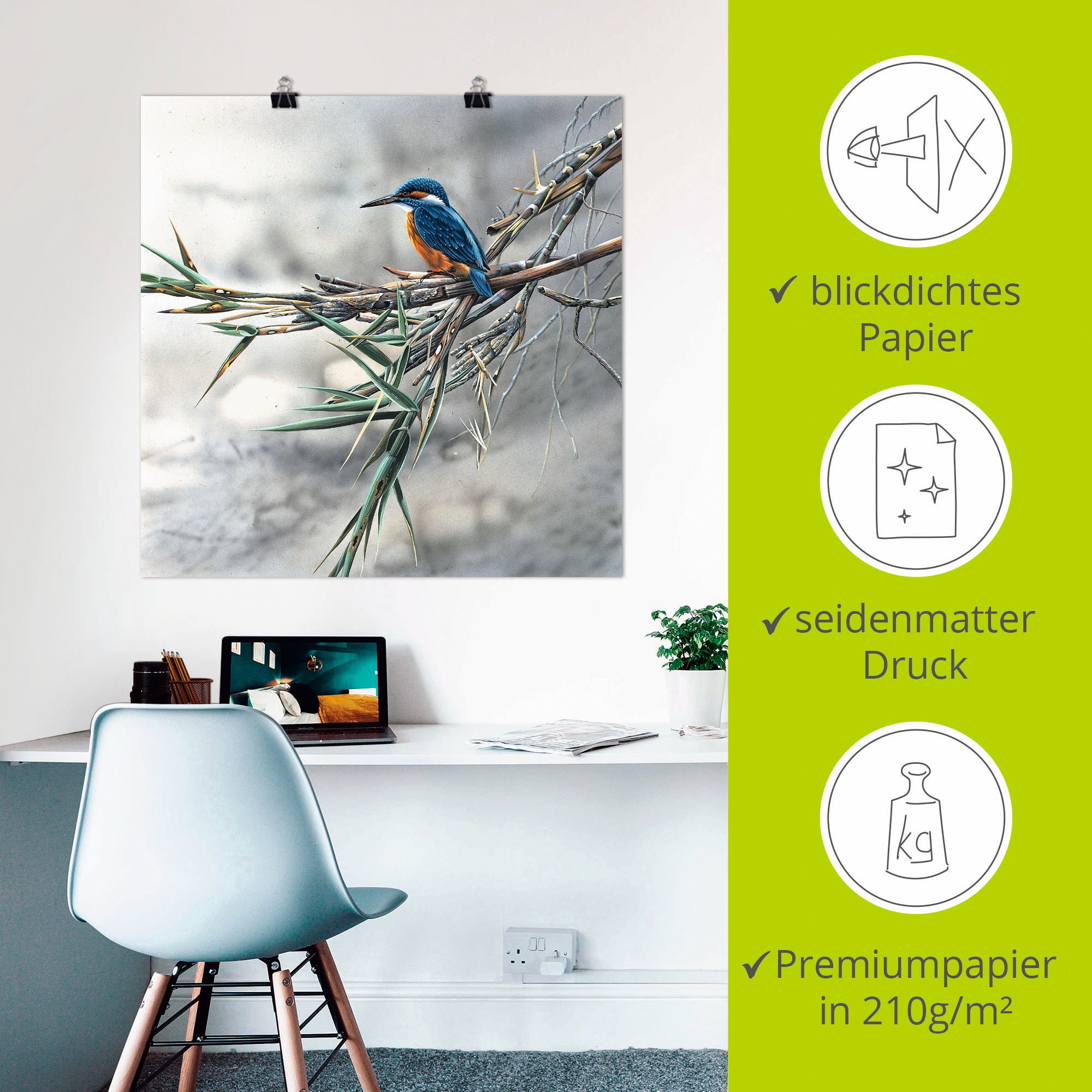 Artland Wandbild »Eisvogel I« Vögel 1 Stk. tlg. als Leinwandbild, Poster in verschied. Größen