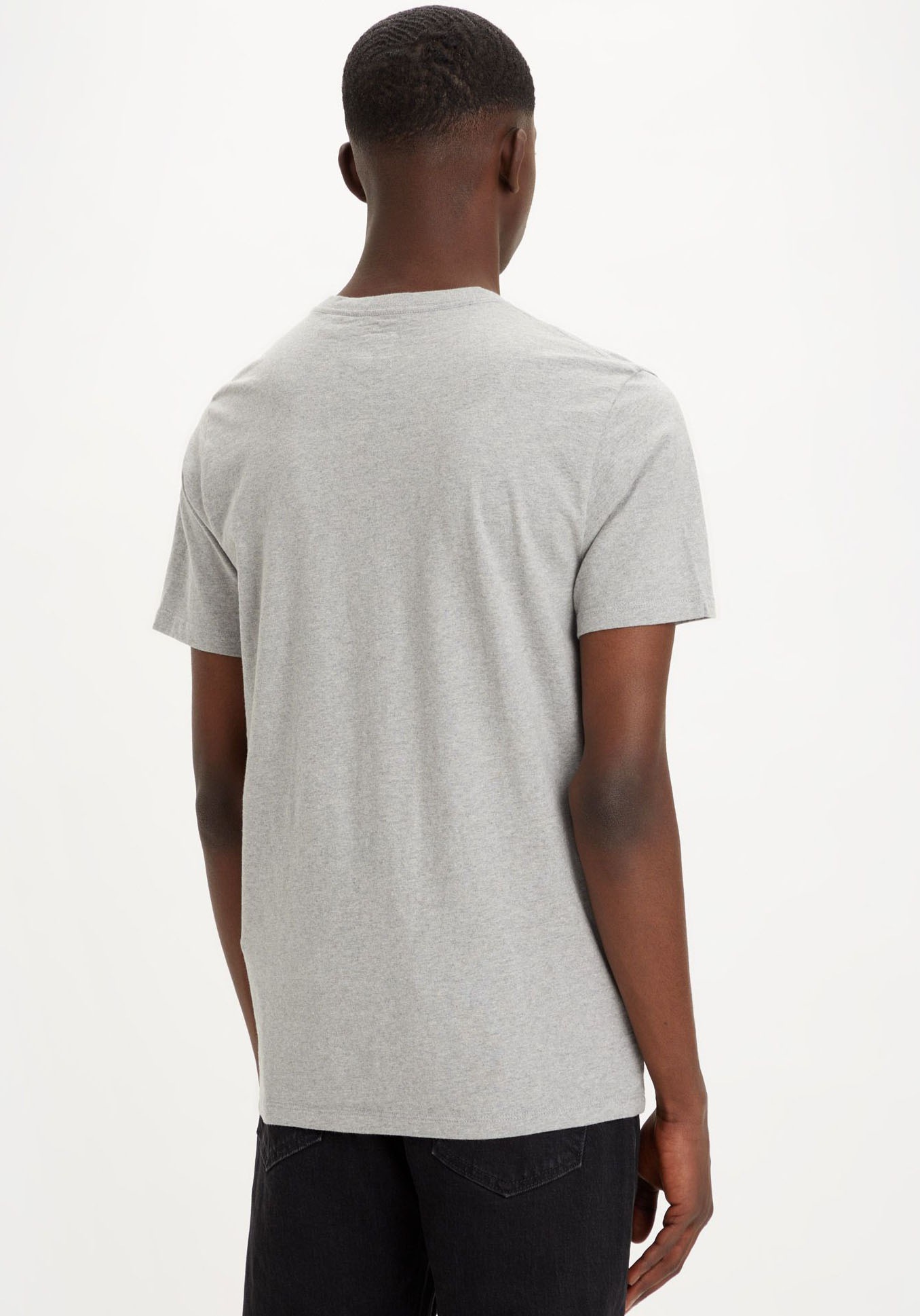 Levi's® V-Shirt »LE ORIGINAL HM VNECK«, mit Logostickerei