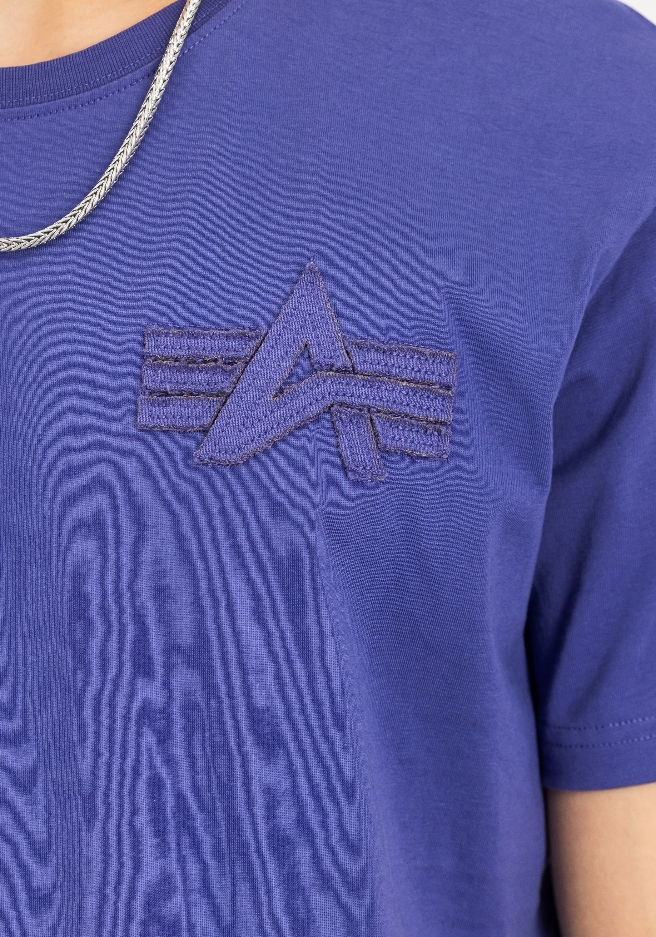 Alpha Industries T-Shirt »Coach T-Shirt Back Embroidery«