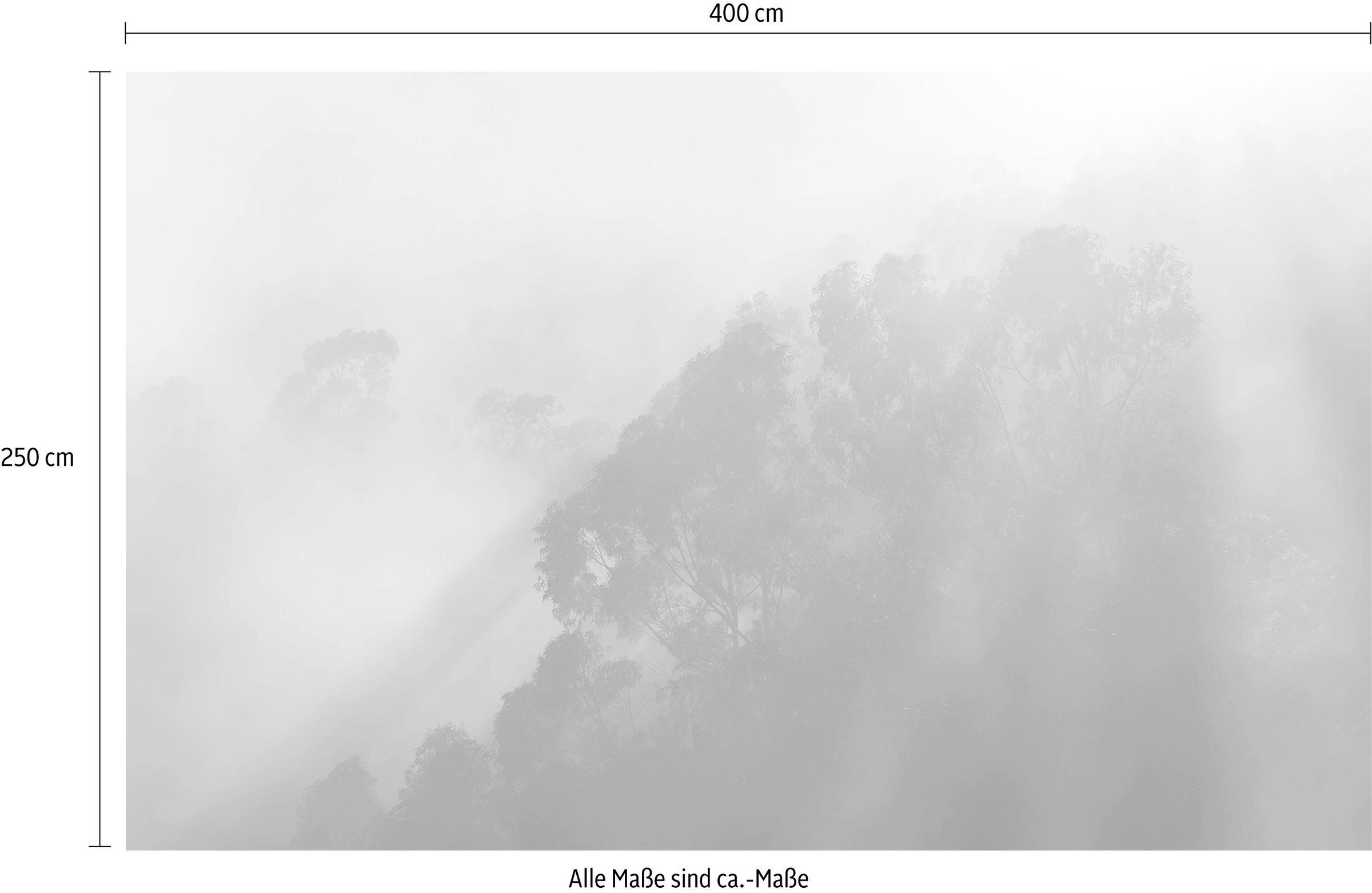 Komar Vliestapete »Digitaldruck Vlies - Misty Mountain - Größe 400 x 250 cm«, bedruckt, Wohnzimmer, Schlafzimmer