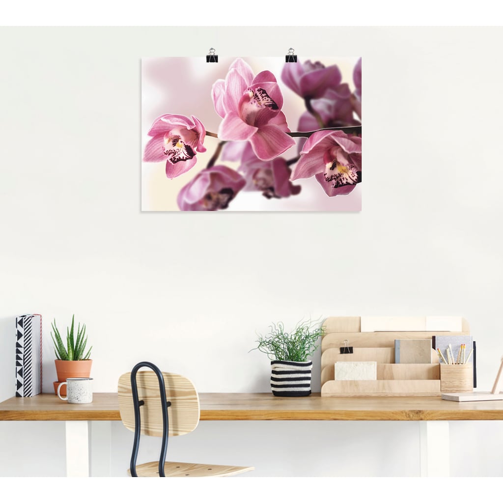 Artland Wandbild »Rosa Orchidee«, Blumenbilder, (1 St.)