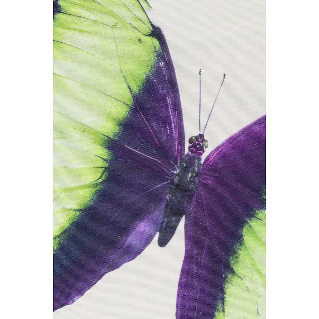 freundin Home Collection Dekokissen »Summer Butterfly 03 weiß-bunt«