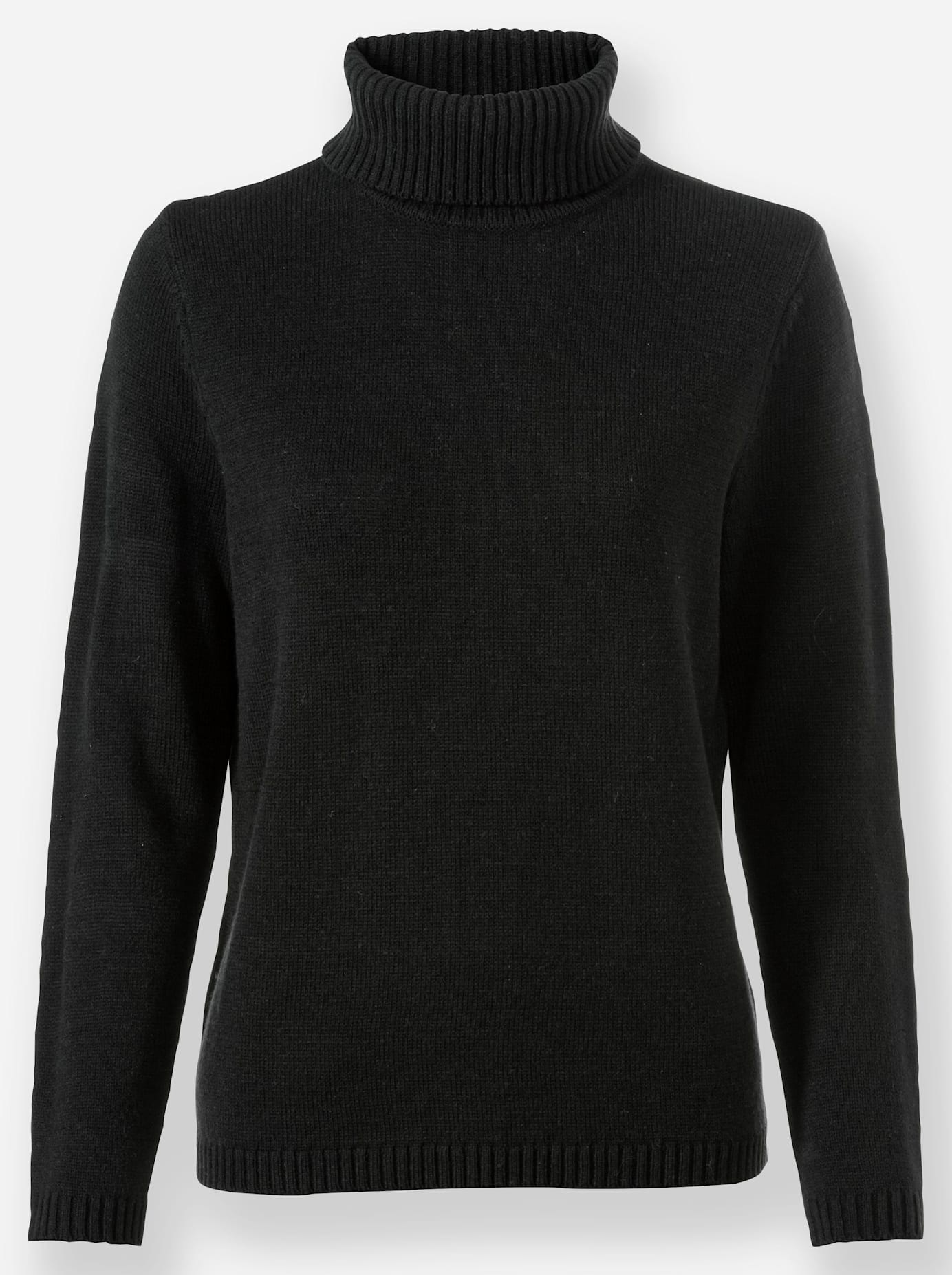 Inspirationen Rollkragenpullover »Pullover«