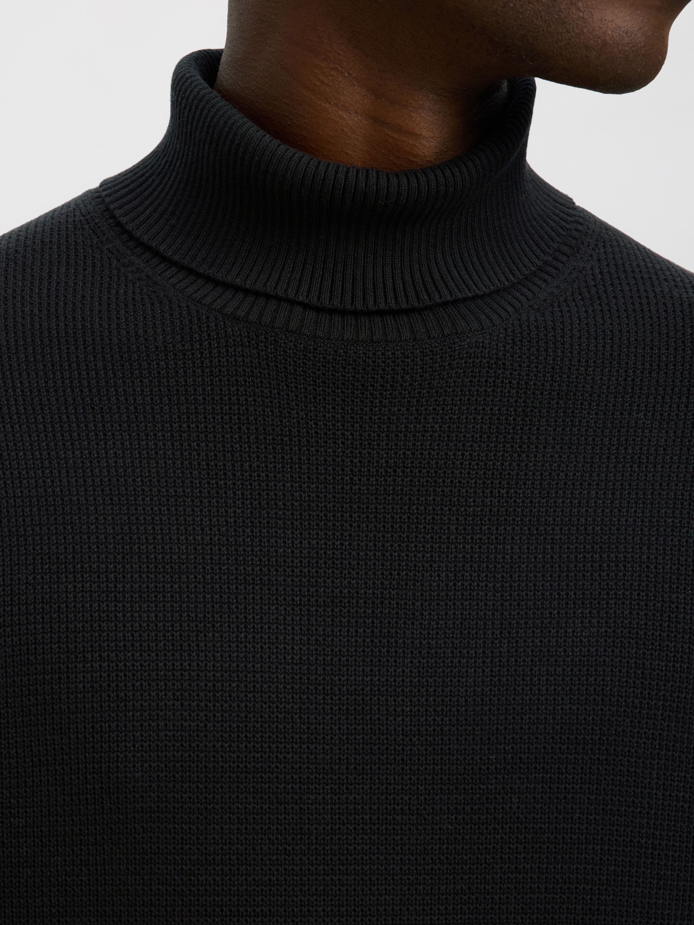 SELECTED HOMME Rollkragenpullover »SLHDANE LS KNIT STRUCTURE ROLL NECK NOOS«