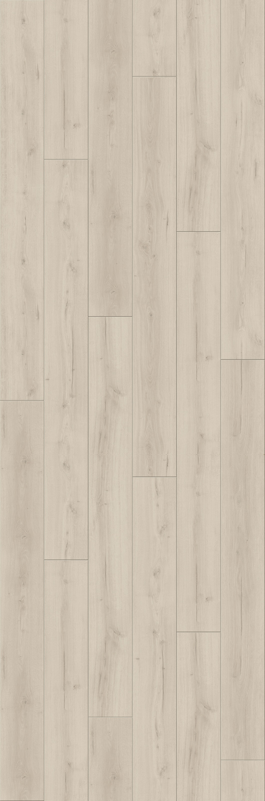 PARADOR Laminat »Trendtime 6 - Eiche Loft weiß«, (Packung), spezielle Trägerplatte, 2200 x 243 mm, Stärke: 9 mm