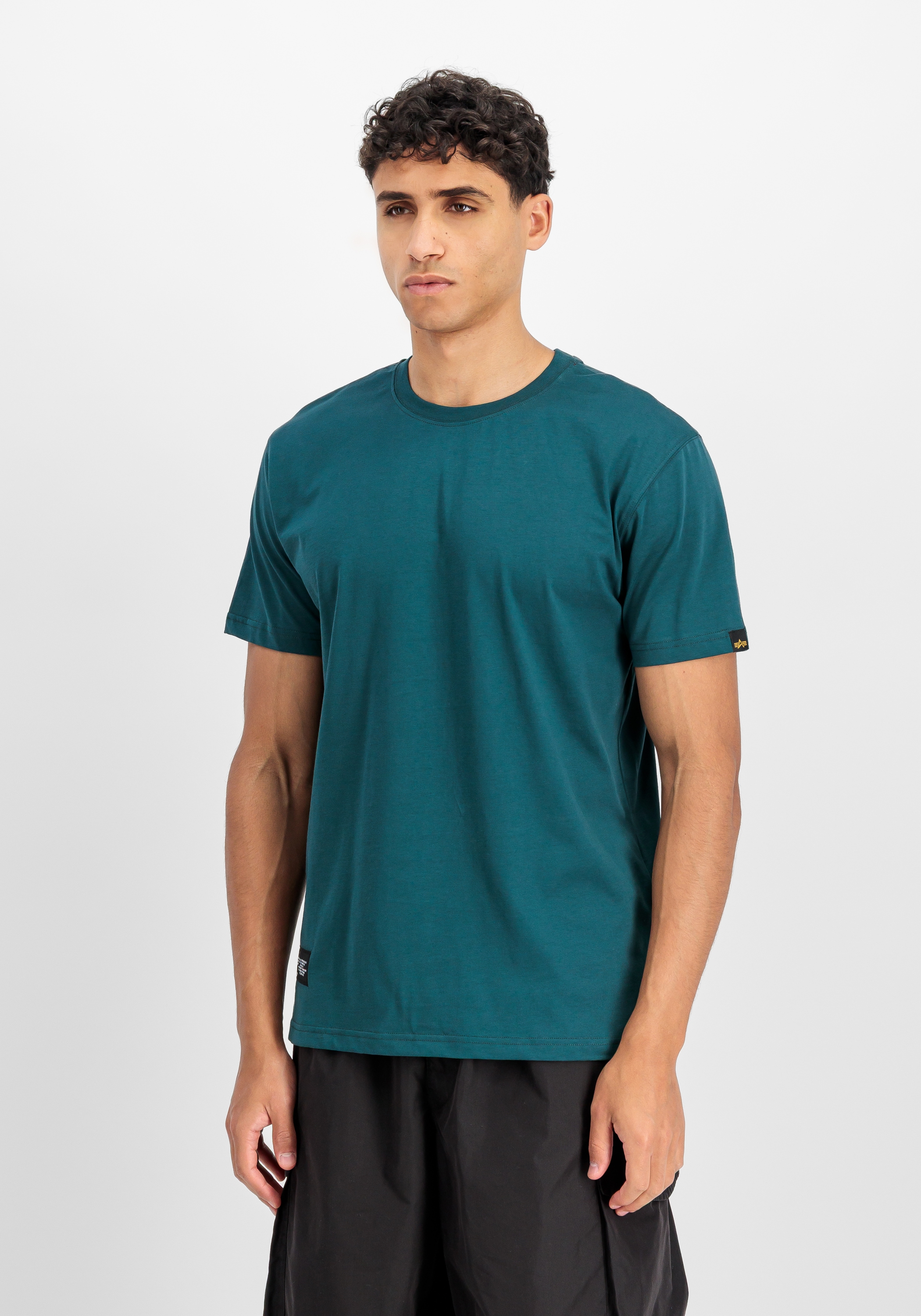 Alpha Industries T-Shirt »Label Backprint T-Shirt«