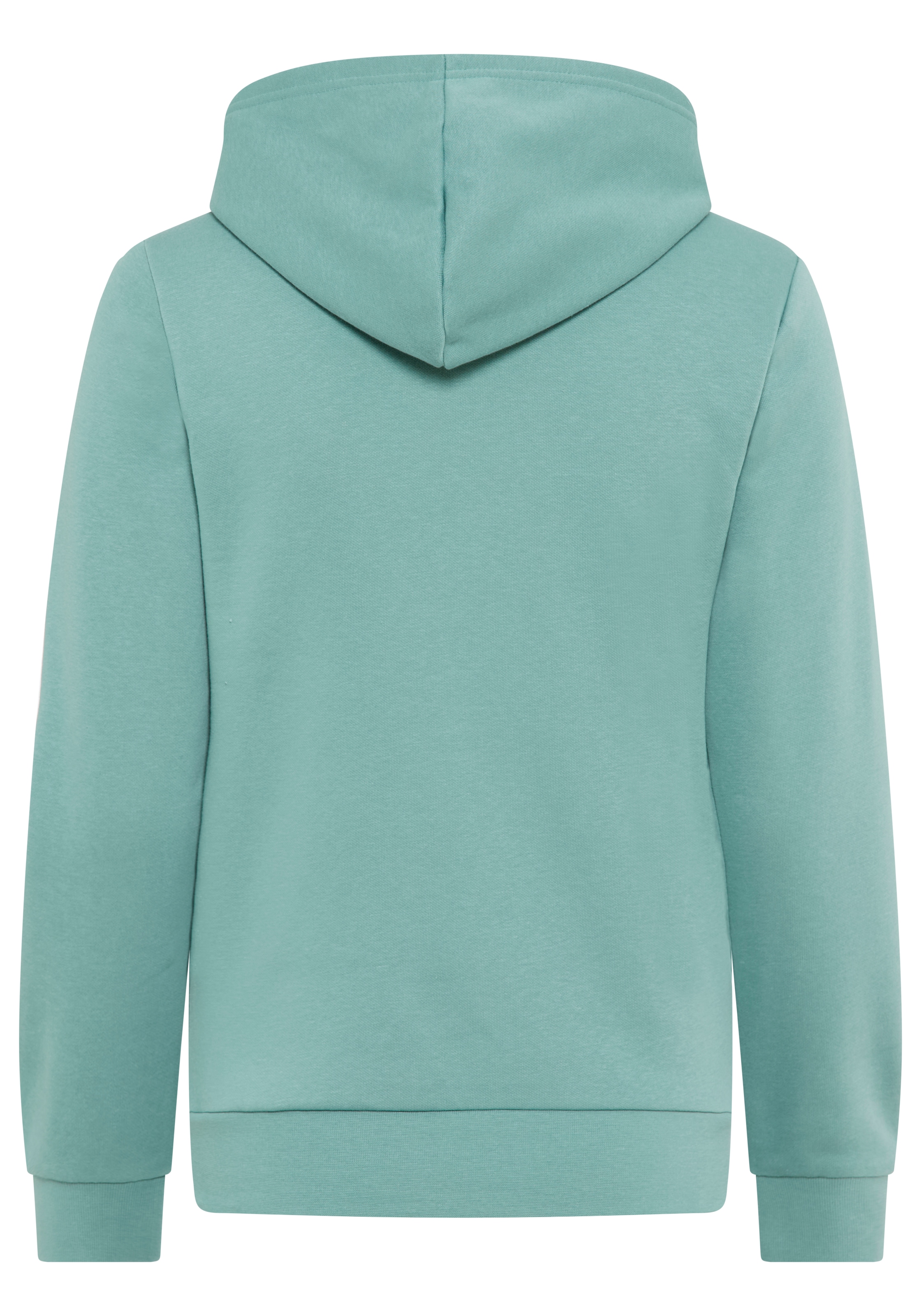 Champion Kapuzensweatshirt, (1 tlg.)