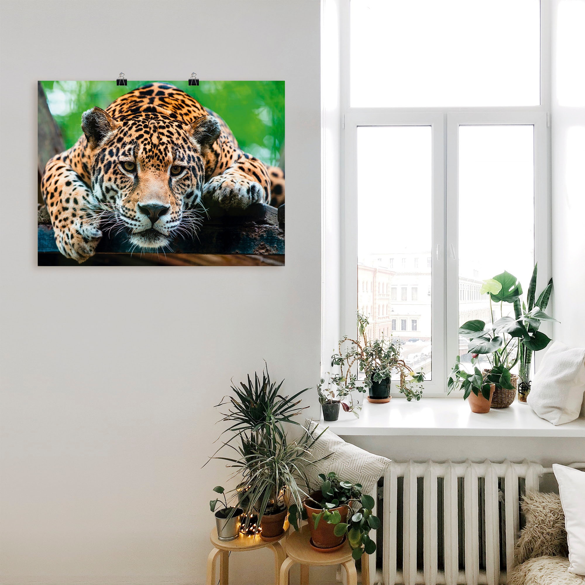 Artland Wandbild »Südamerikanischer Jaguar«, Wildtiere, (1 St.), als Alubild, Outdoorbild, Leinwandbild, Poster, Wandaufkleber