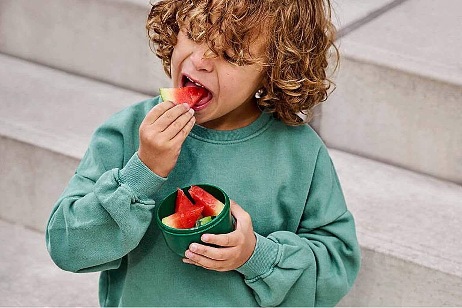 Mepal Lunchbox »Fruchtbox mit Gabel Campus 300 ml«, (1 tlg.)