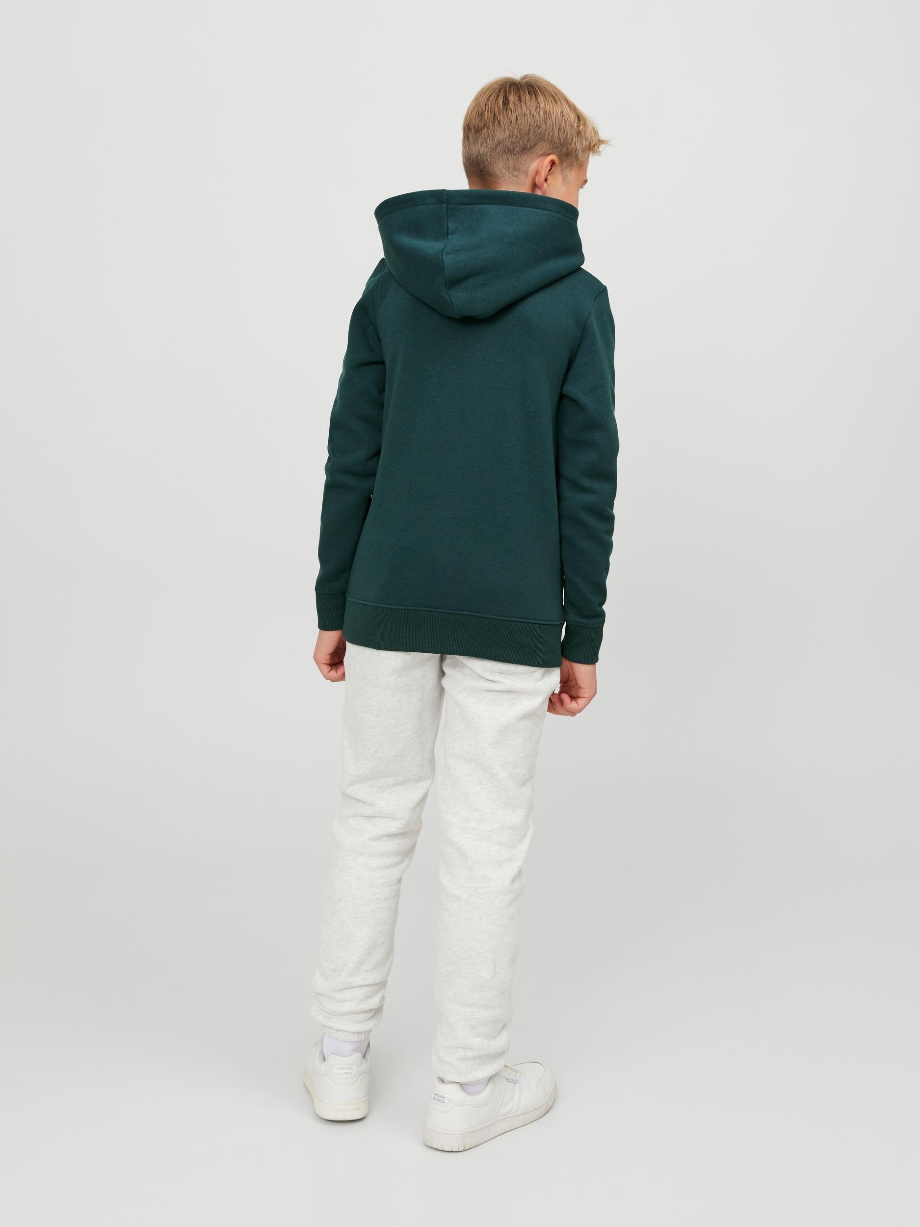 Jack & Jones Junior Kapuzensweatshirt »JORLAKEWOOD SWEAT HOOD BF JNR«