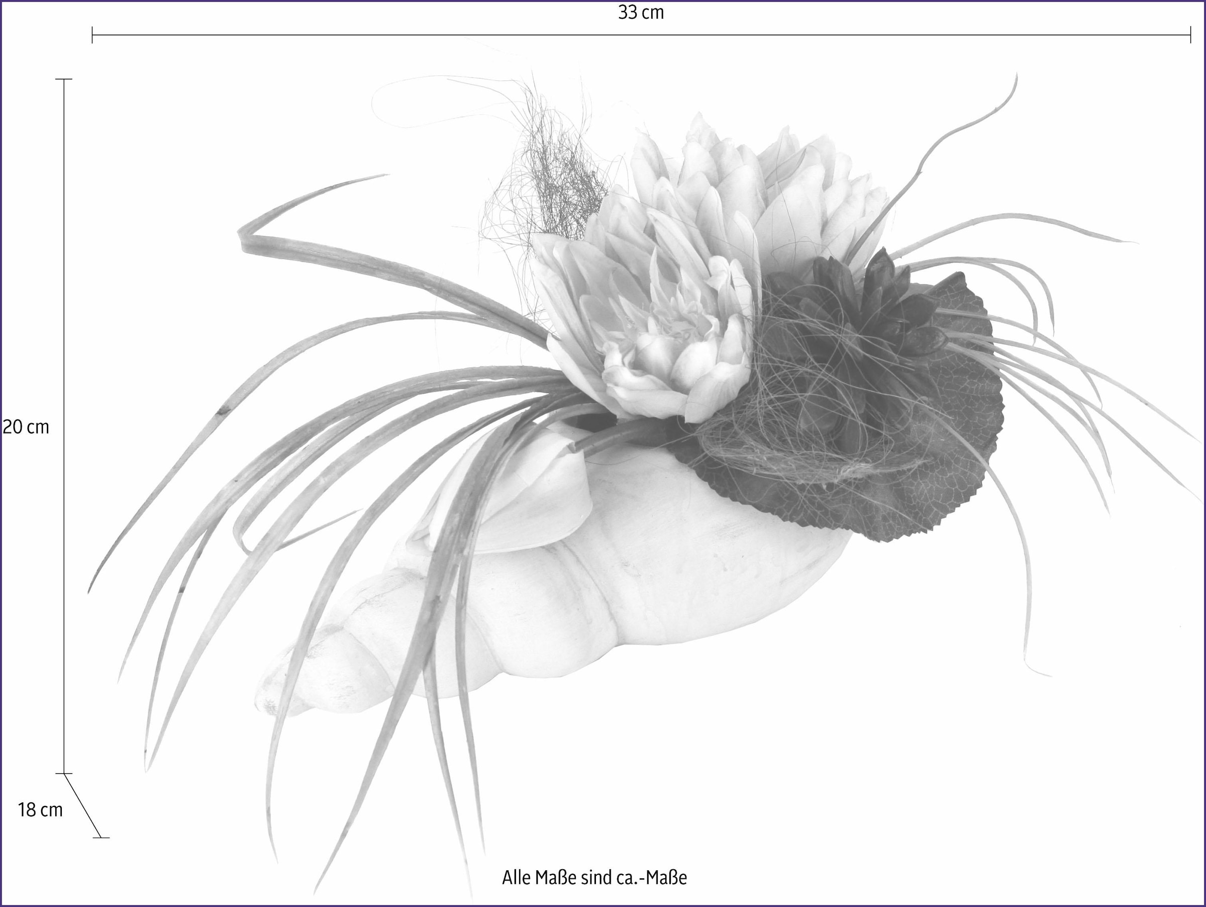 I.GE.A. Kunstpflanze »Gesteck Seerose in (1 Muschel«, St.) bei OTTO