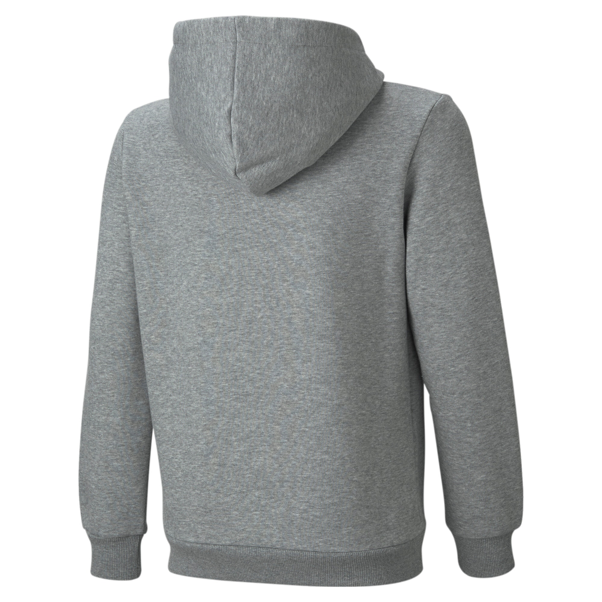 PUMA Kapuzensweatshirt »ESS BIG LOGO HOODIE FL B«