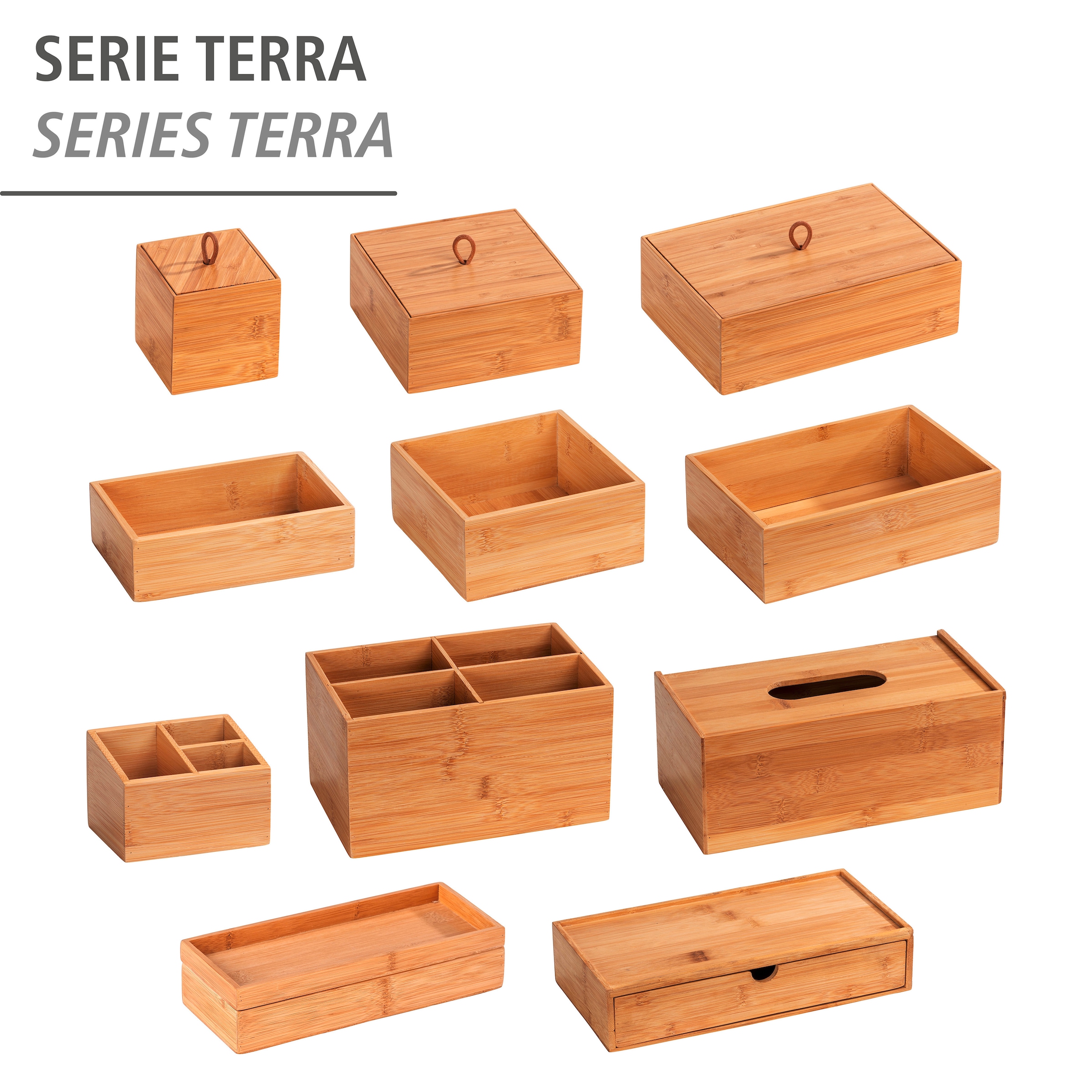 WENKO Aufbewahrungsbox »Terra«, (1 St.), mit Deckel und praktischer Schlaufe