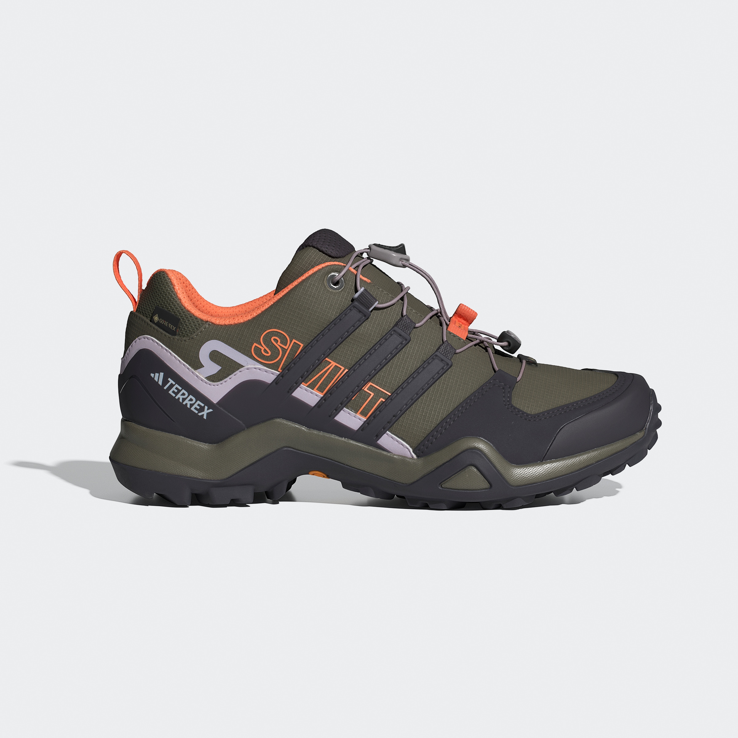 adidas TERREX Wanderschuh »TERREX SWIFT R2 GORE-TEX«, wasserdicht