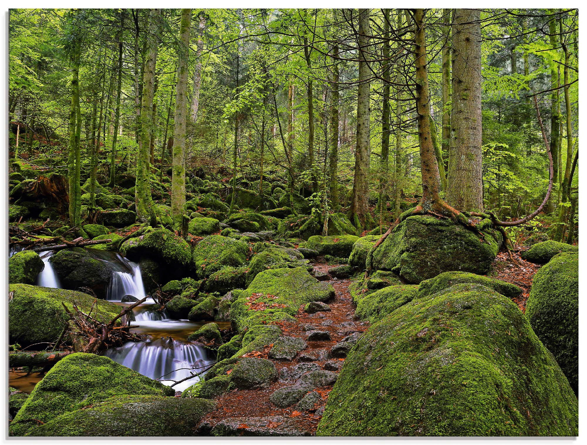 Artland Glasbild »Zauberwald mit Bach«, Wald, (1 St.)