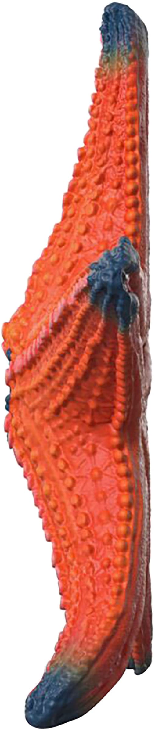 Schleich® Spielfigur »WILD LIFE, Seestern (14902)« mit Farbwechsel