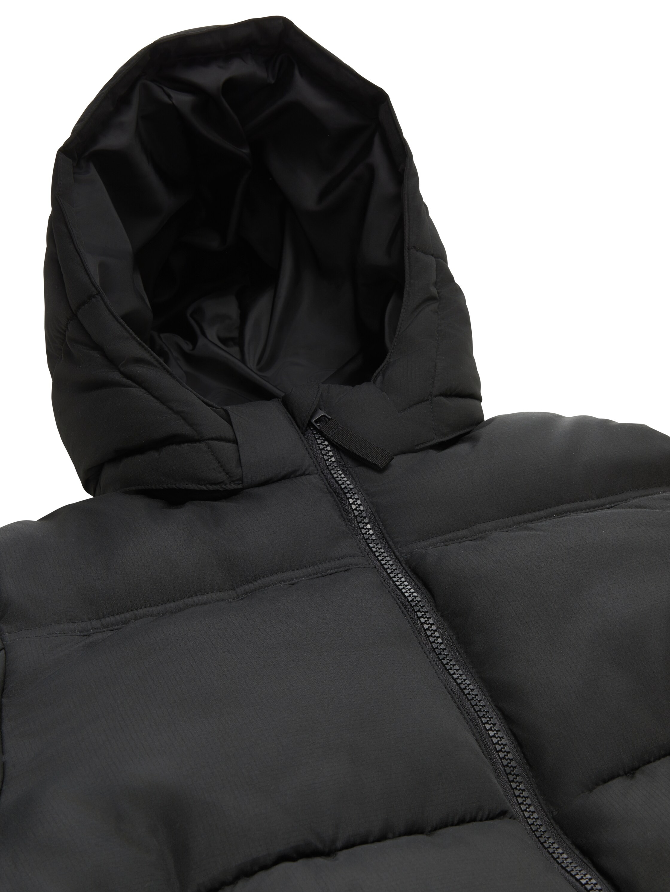 TOM TAILOR Steppjacke, mit Kapuze, mit Kapuze