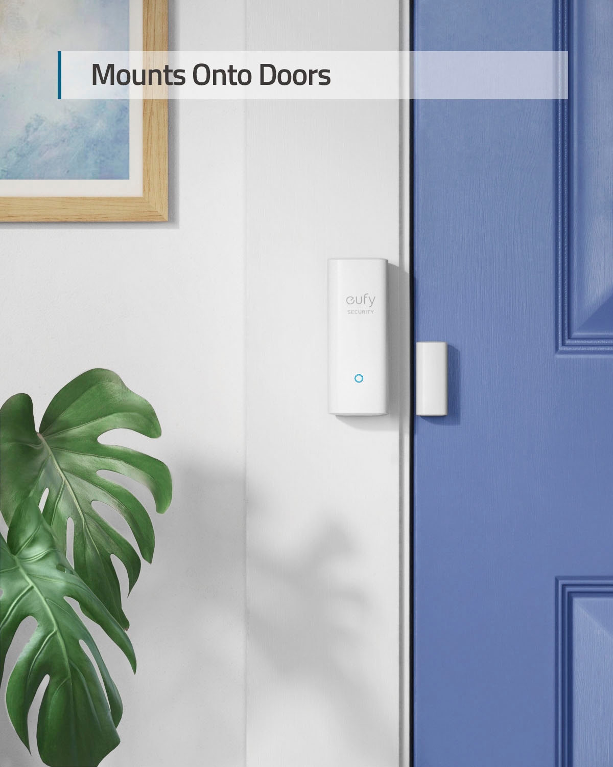 eufy Sensor »Security by ANKER T89000D4 Tür/Fenster«