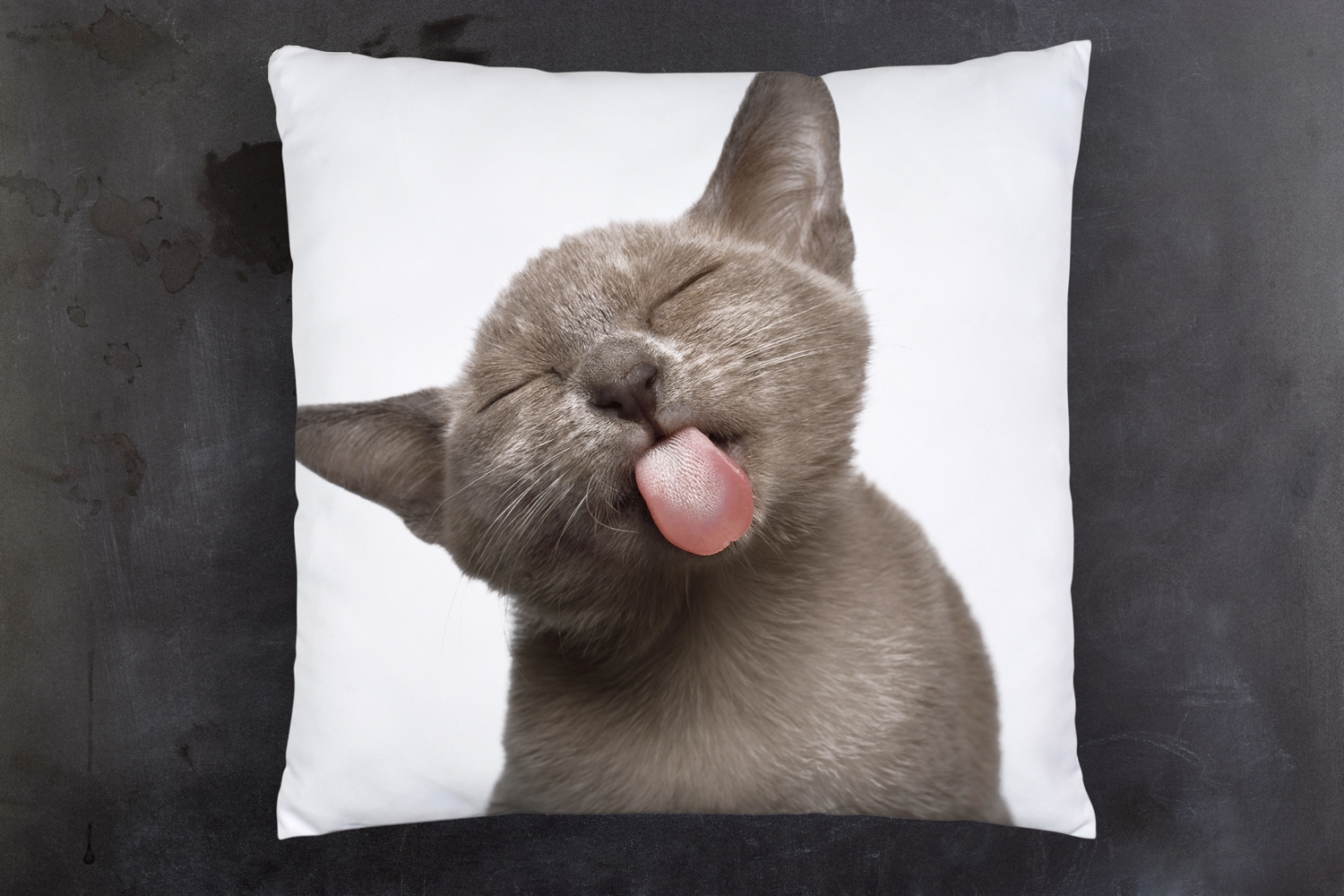 queence Dekokissen »Katzenzunge«, Kissenhülle mit HD Premium Druck, geruchsneutral, 40x40cm