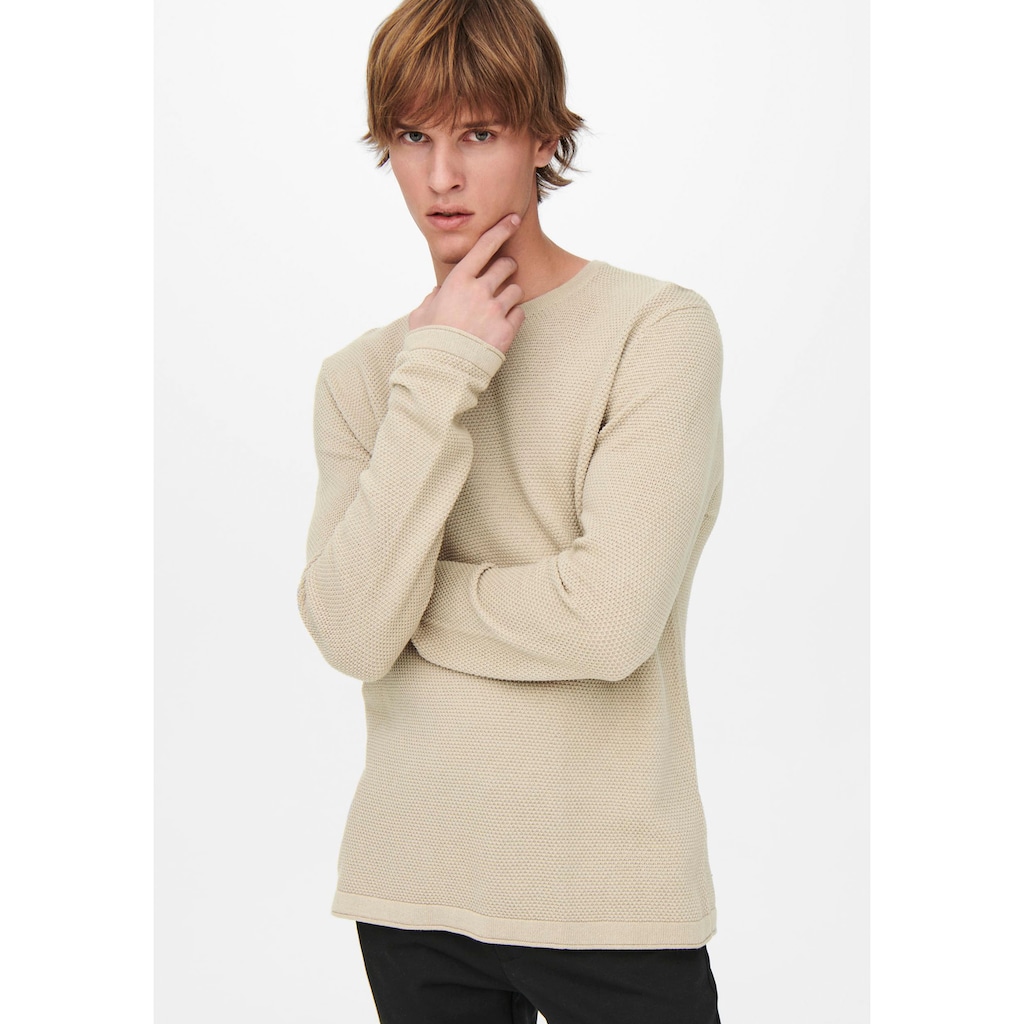 ONLY & SONS Rundhalspullover »PANTER 12 STRUC CREW NECK KNIT«