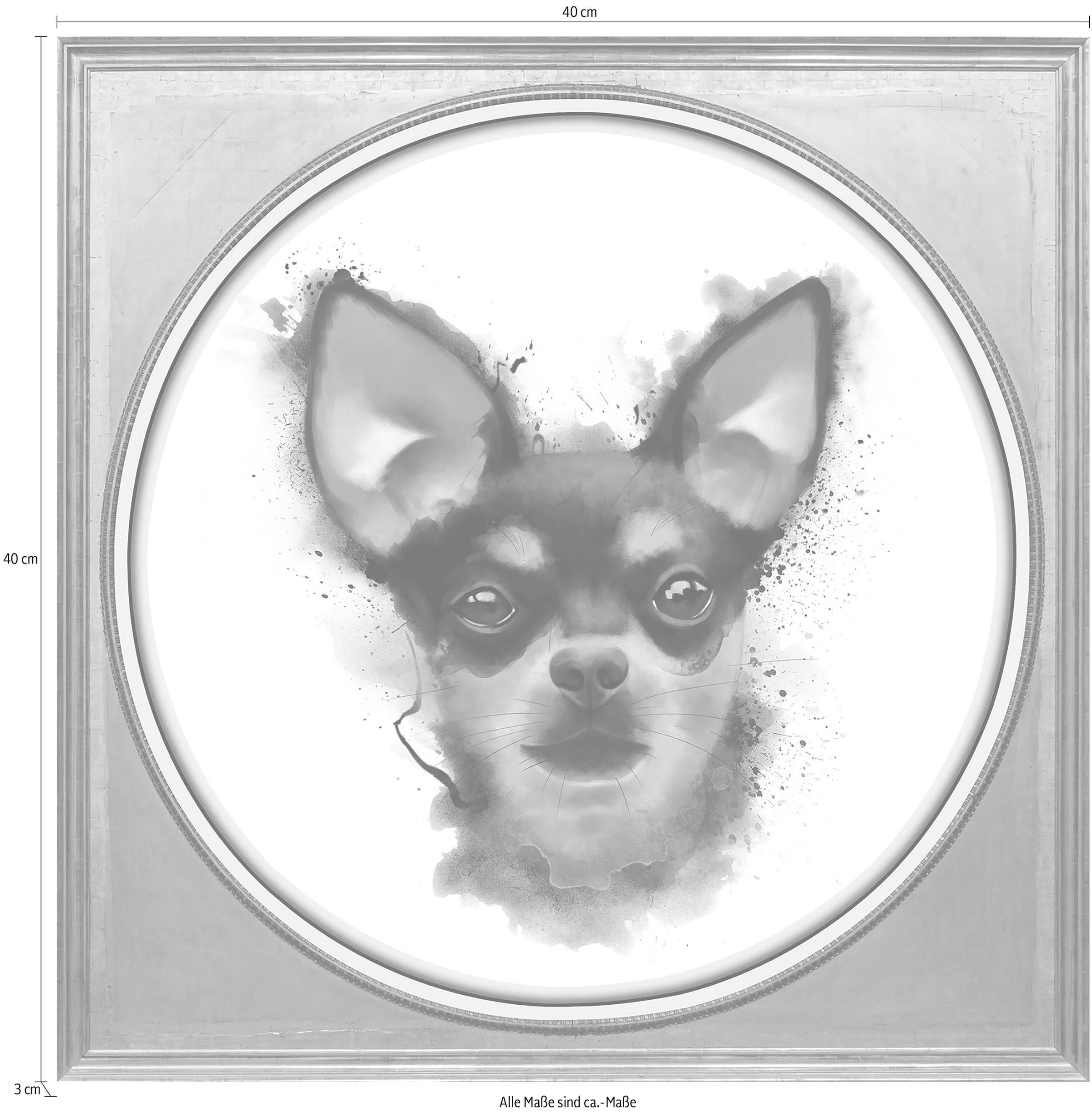 queence Acrylglasbild »Chihuahua« Gemälde | Haustiere | Hund | Hunde | Hundebilder | Kunst | Tiere Fine Art-Print in Galeriequalität