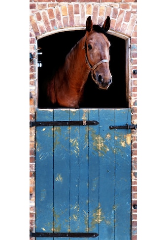 Papermoon Fototapete »Horse - Türtapete«, matt, Vlies, 2 Bahnen, 90 x 200 cm kaufen