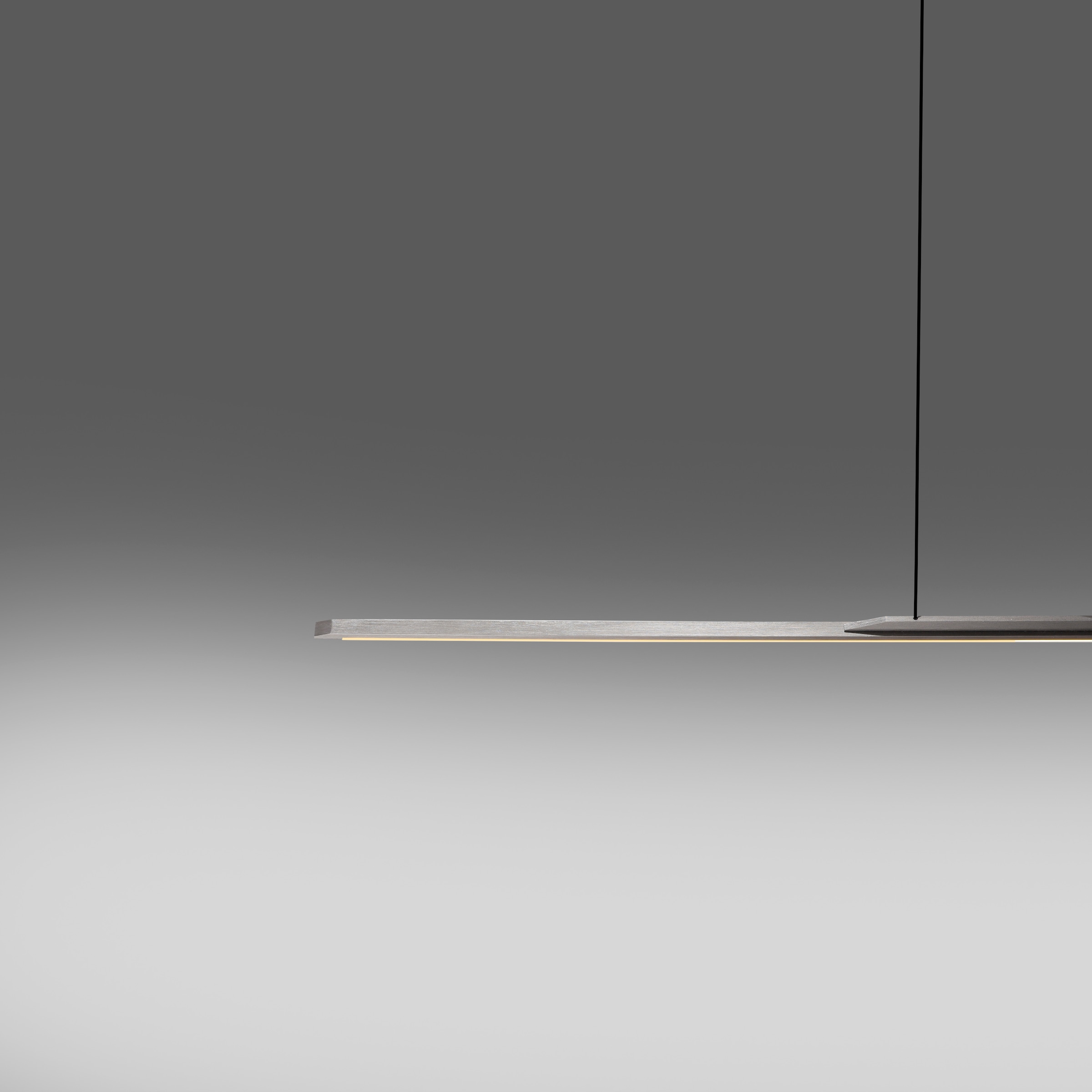 Neuhaus PURE LED Pendelleuchte »PURE Surface« LED-Board 1 Stk. Warmweiß Dimmfähig über separaten Dimmer, höhenverstellbar