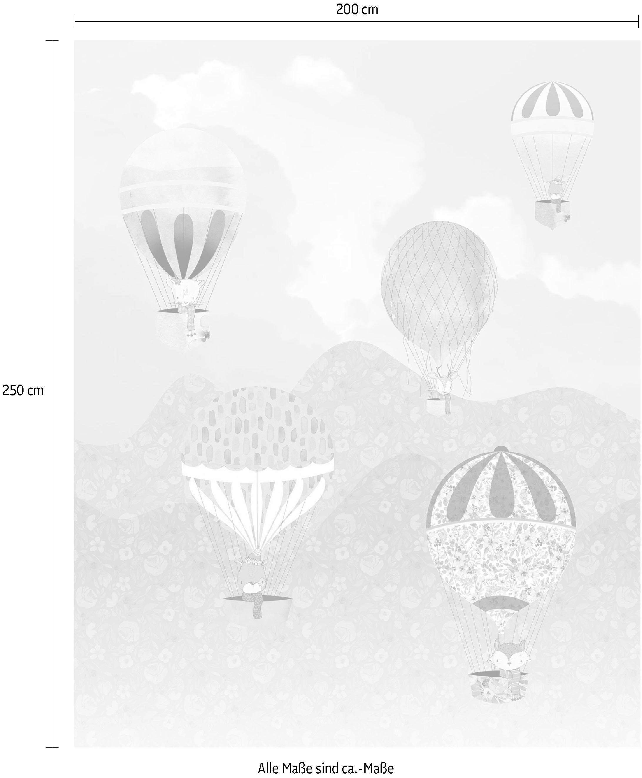 Komar Vliestapete »Happy Balloon«, (Breite x Höhe), Vliestapete, 100 cm Bahnbreite