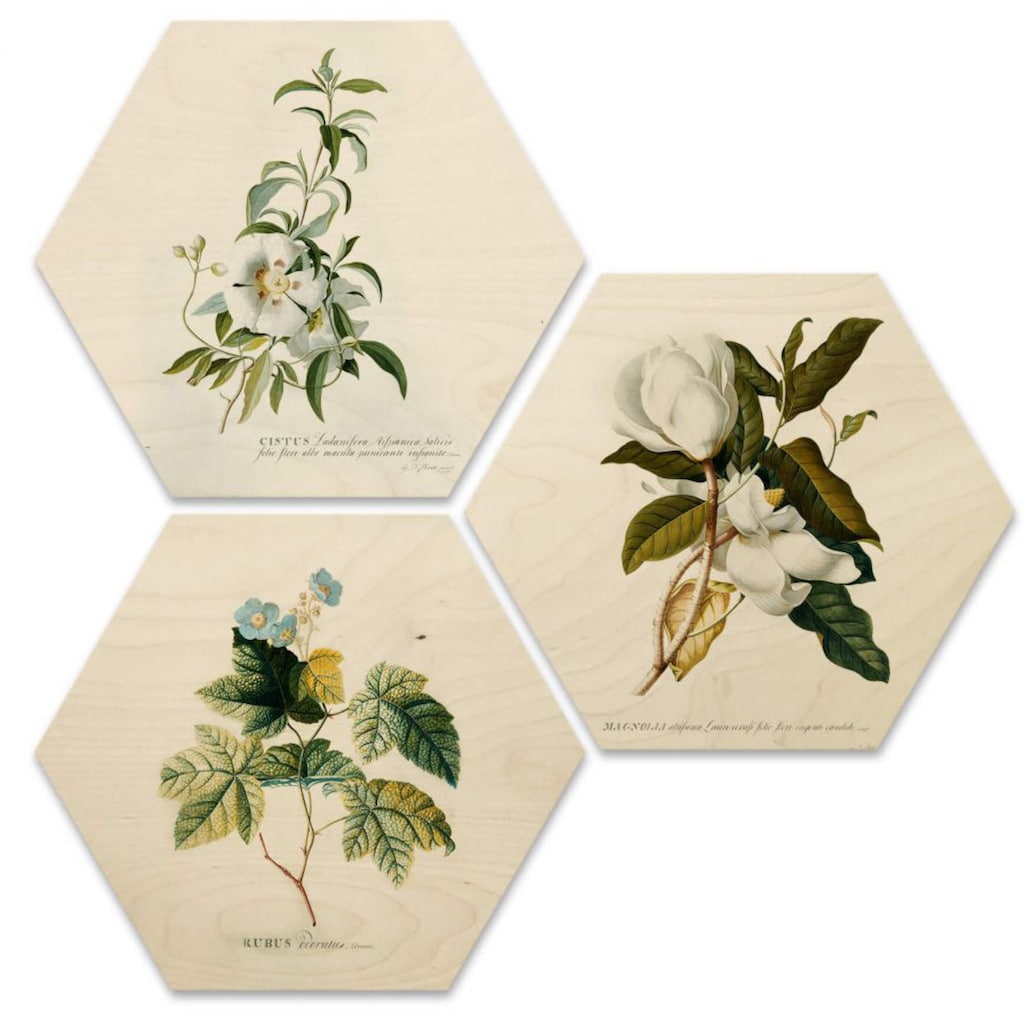 Wall-Art Mehrteilige Bilder »Botanische Collage Blumen Floral«, Tiere, (Set, 3 St.)