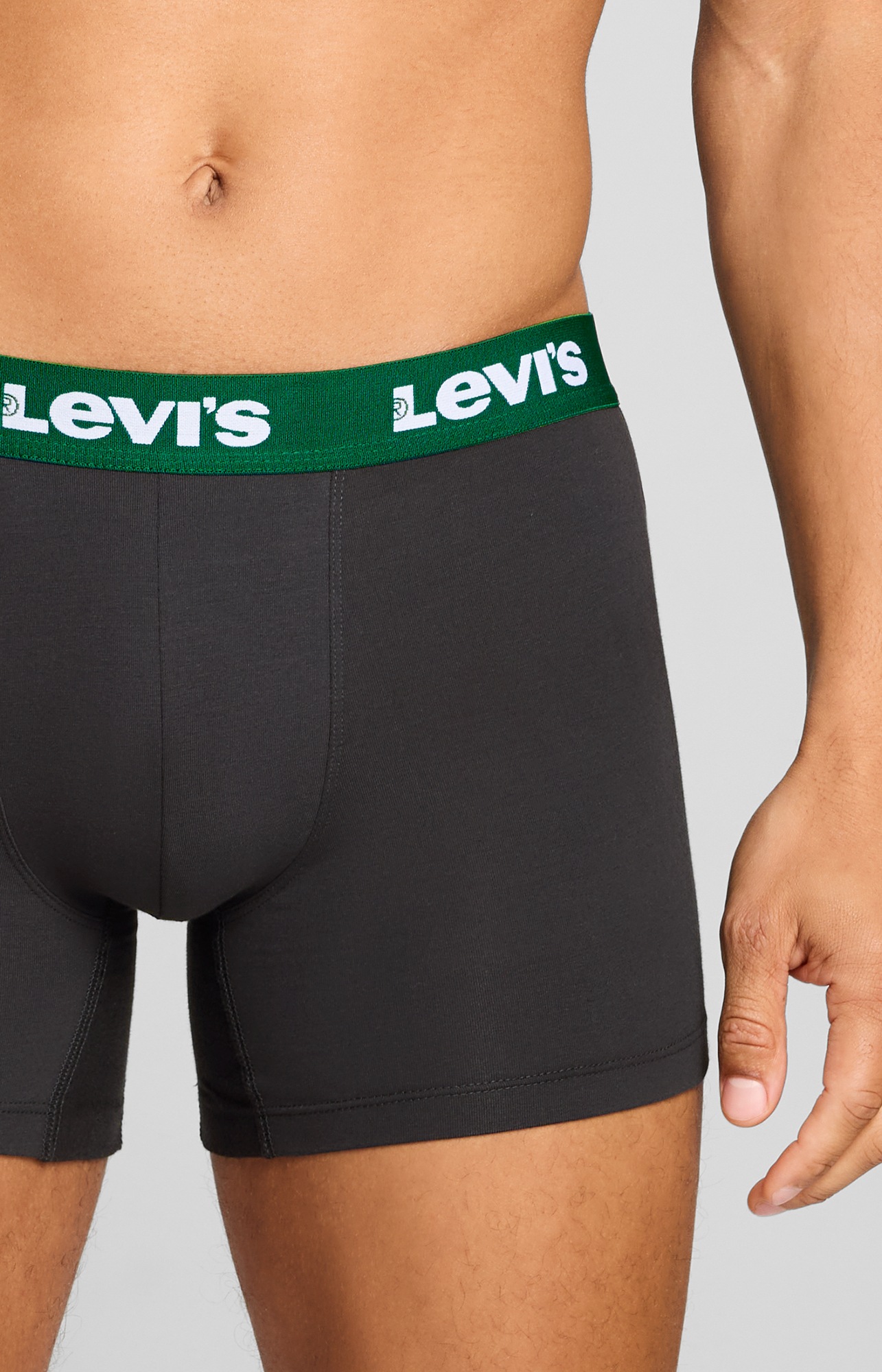 Levi's® Boxershorts »LEVIS MEN REPEAT LOGO BOXER BRIEF« 2er Pack,  ohne Eingriff, Logobund, elastisch