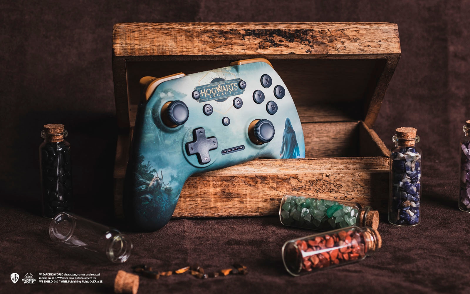 Freaks and Geeks Controller »Harry Potter Hogwarts Legacy Landscape Switch«