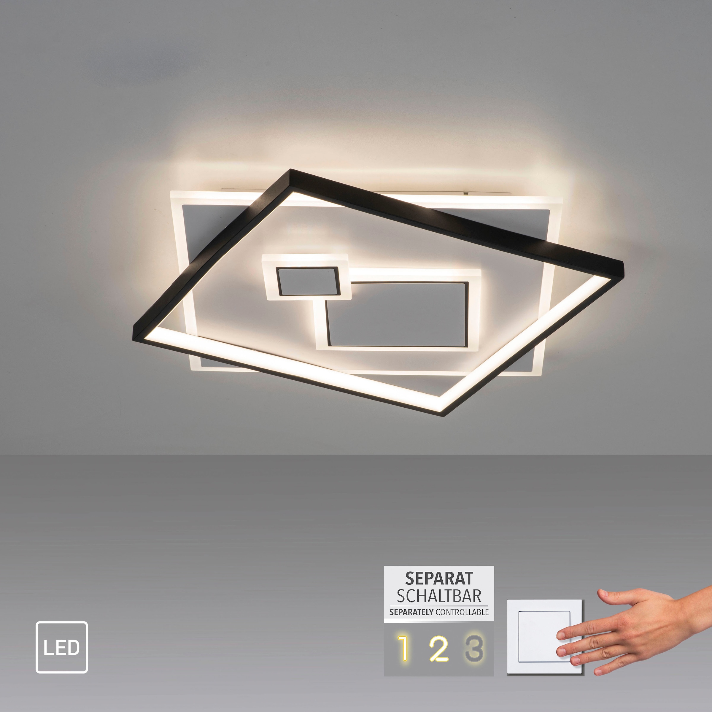 Paul Neuhaus Deckenleuchte »MAILAK«, 2 flammig, Leuchtmittel LED-Board-LED-Board | LED fest integriert-LED fest integriert, LED, separat steuerbar (Schalter)