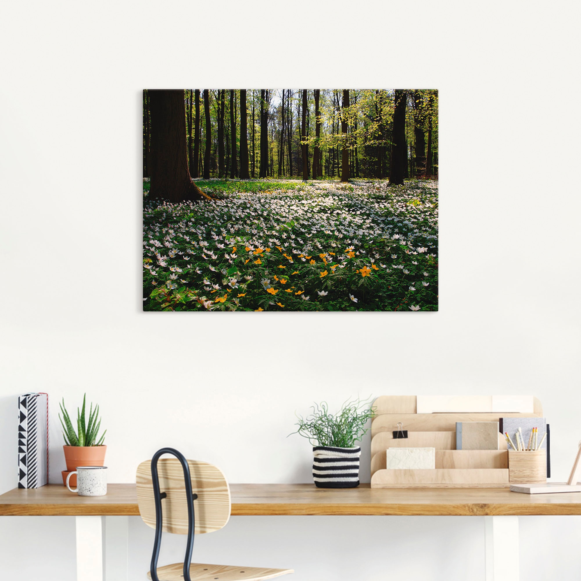 Artland Wandbild »Frühlingswald bedeckt mit Windröschen«, Wald, (1 St.), als Leinwandbild, Poster in verschied. Größen