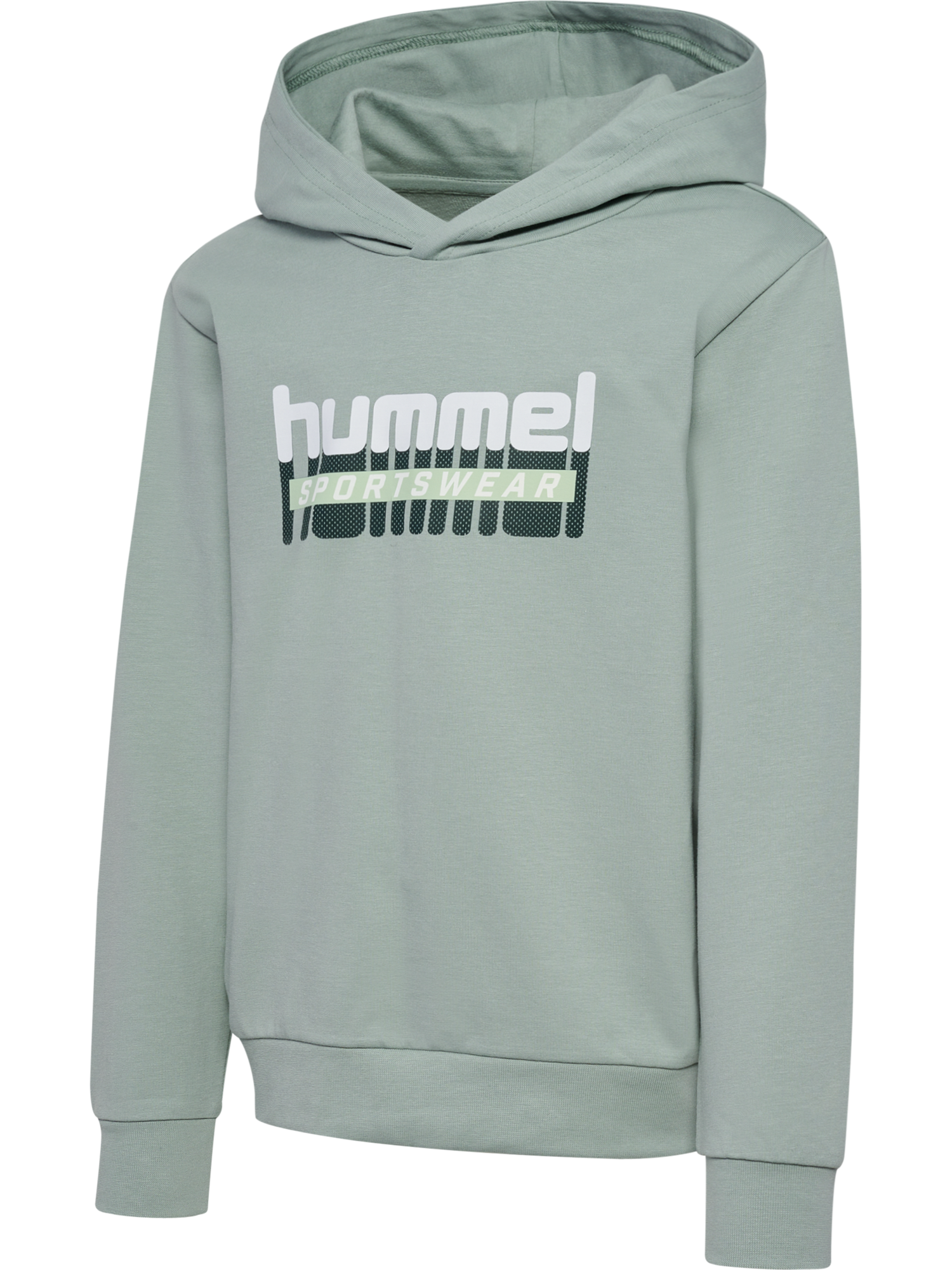 hummel Kapuzensweatshirt, für Kinder
