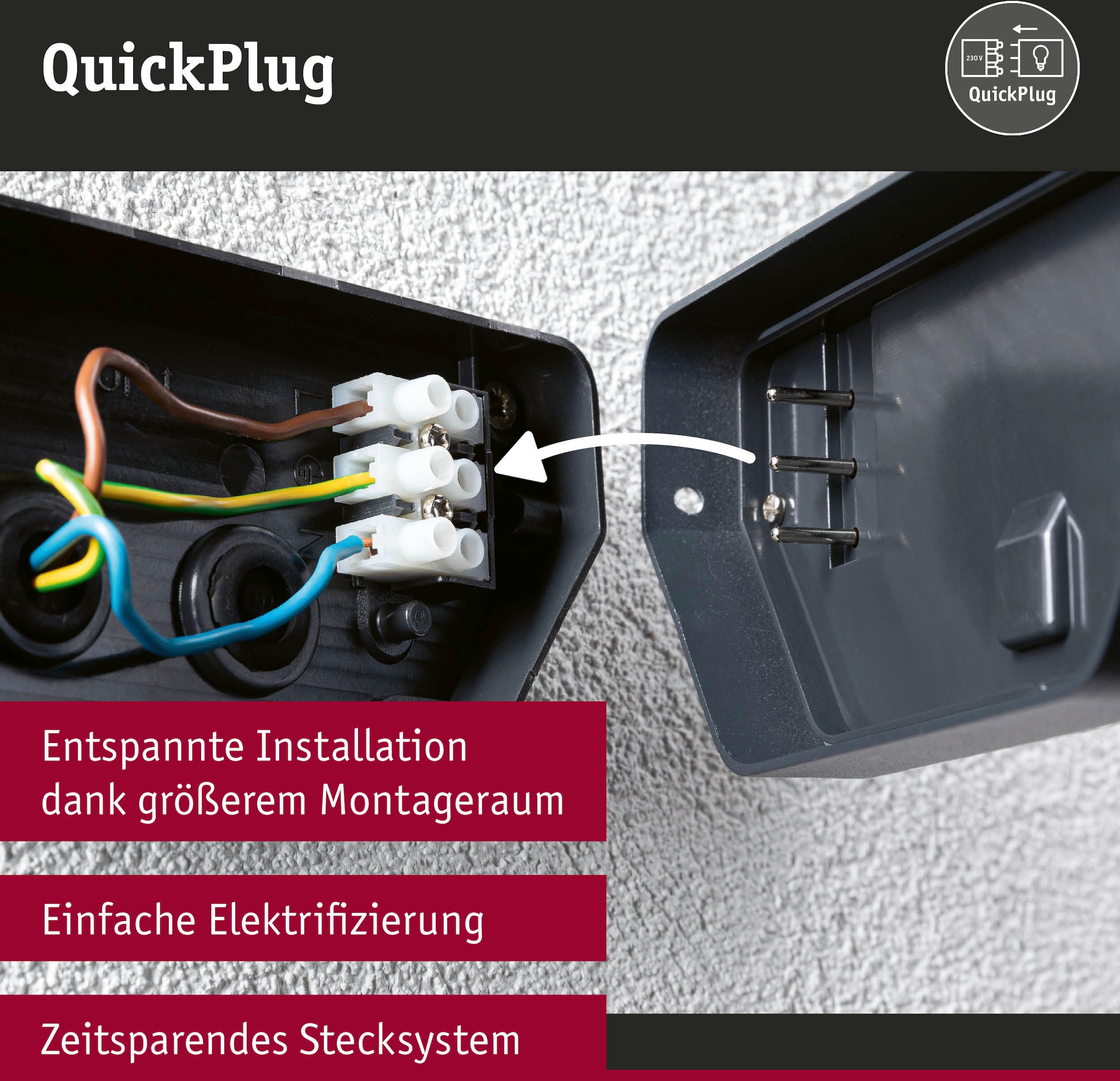 Paulmann LED Außen-Wandleuchte »Anela 230V«, 1 flammig, insektenfreundlich