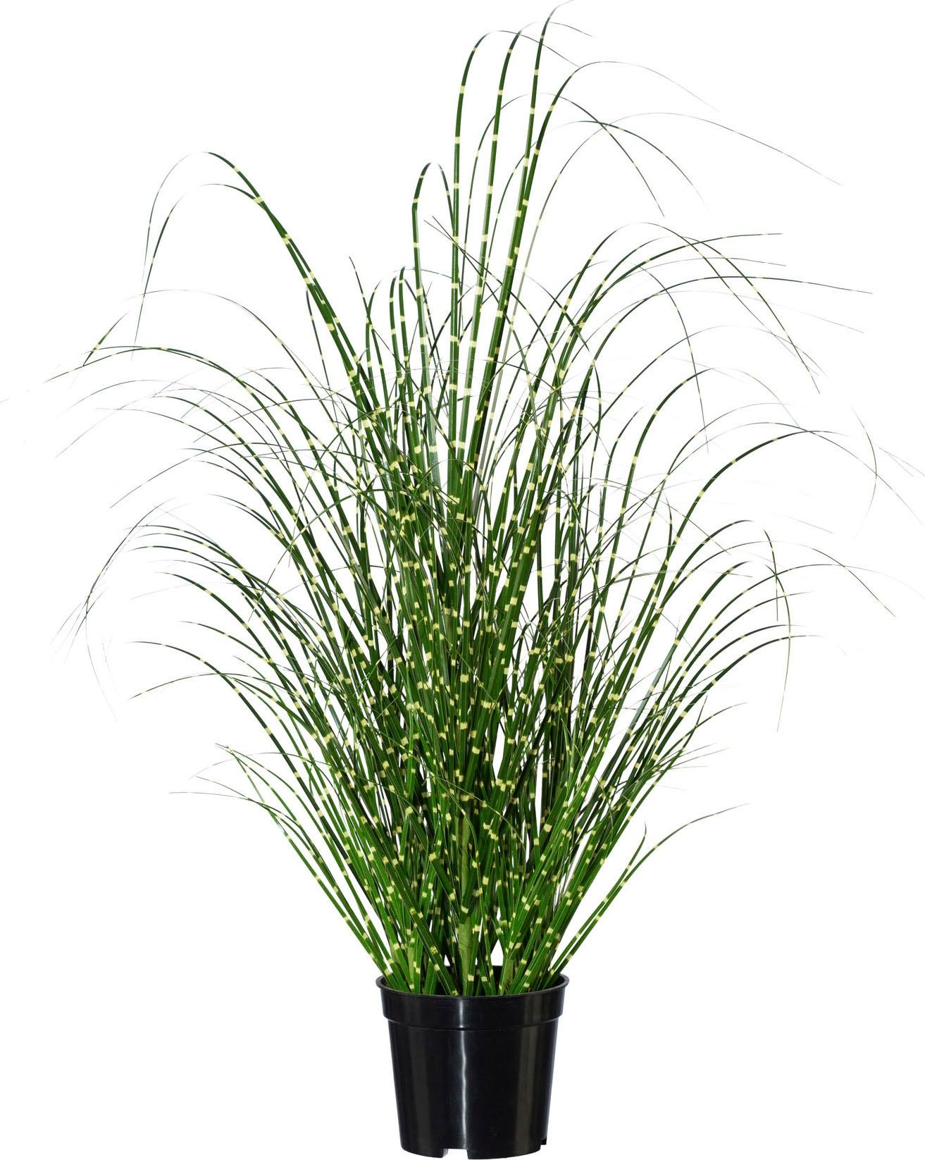 Creativ green Kunstgras »Miscanthus«