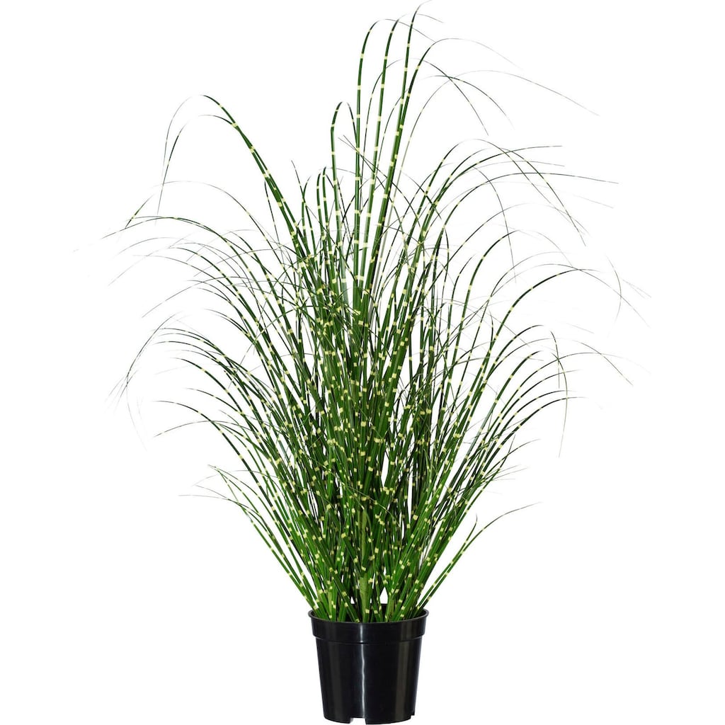 Creativ green Kunstgras »Miscanthus«